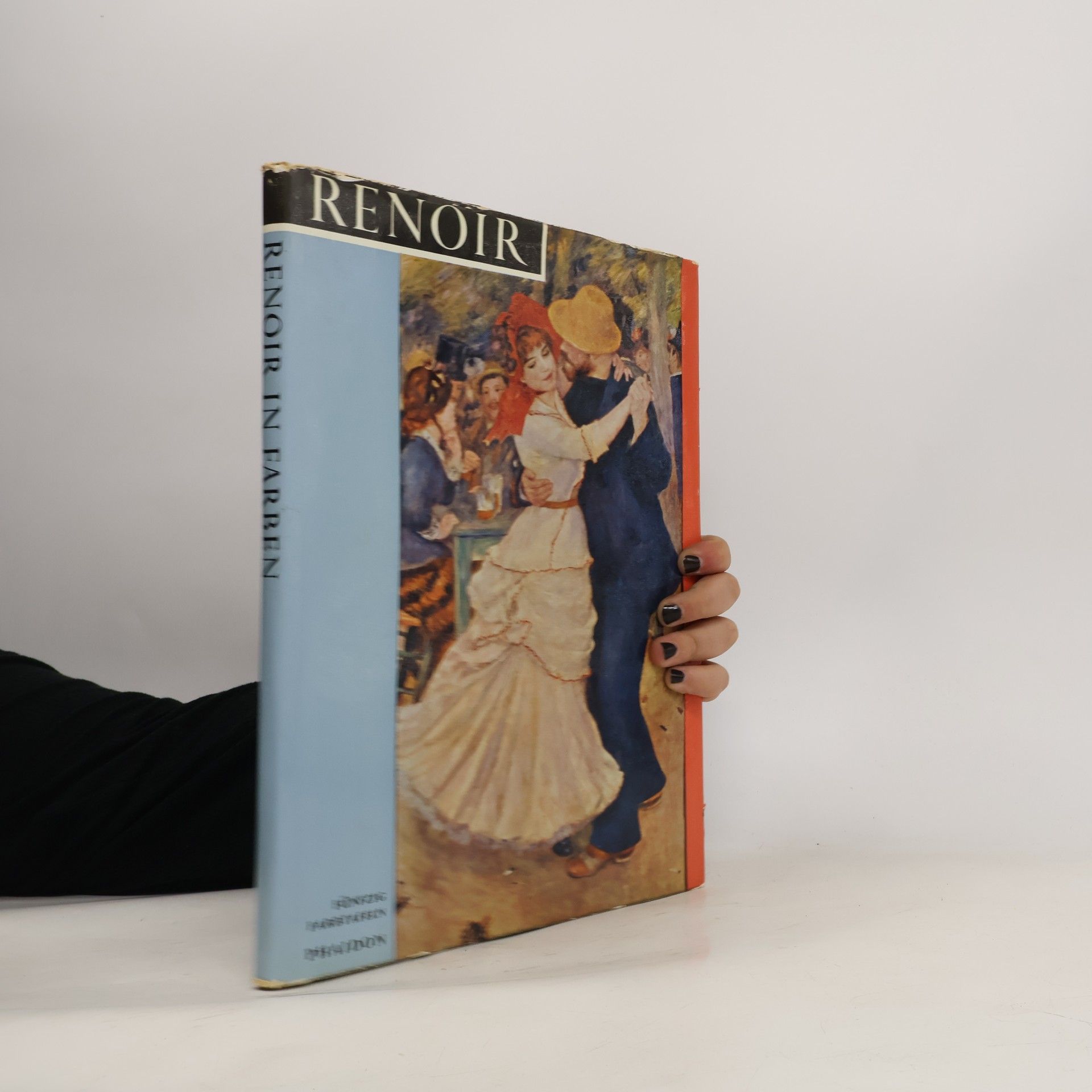 Autorenkollektiv Renoir in Farben