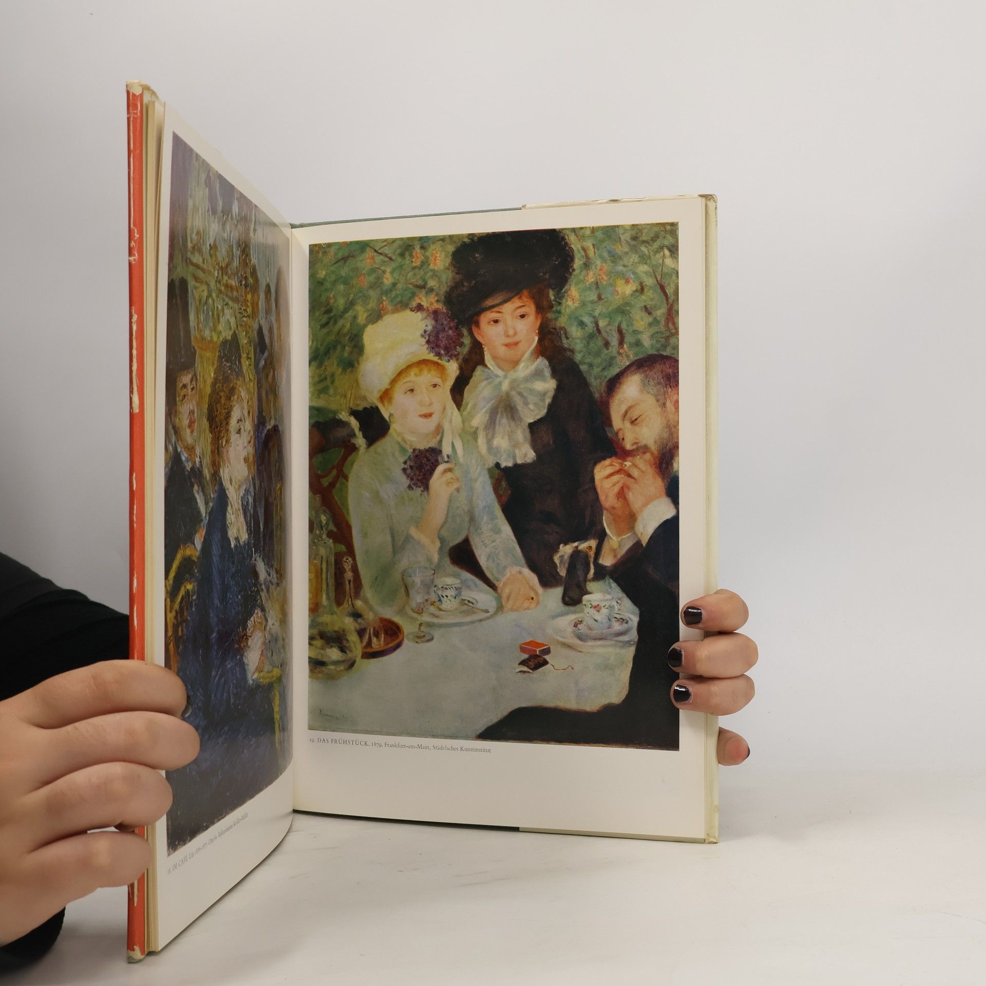 Autorenkollektiv Renoir in Farben