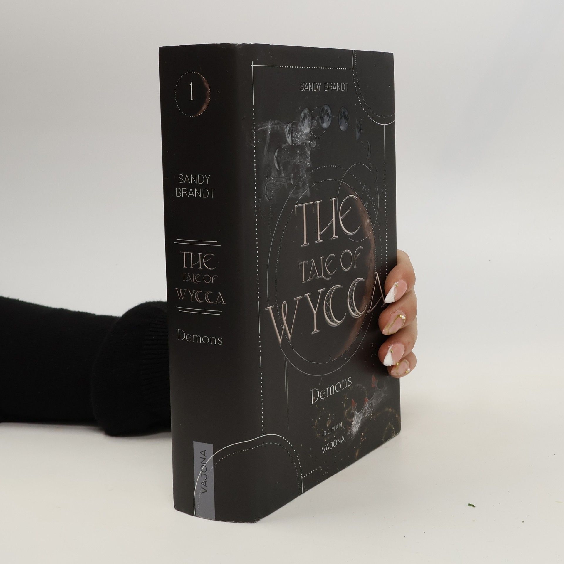 Sandy Brandt THE TALE OF WYCCA: Demons (WYCCA-Reihe 1)