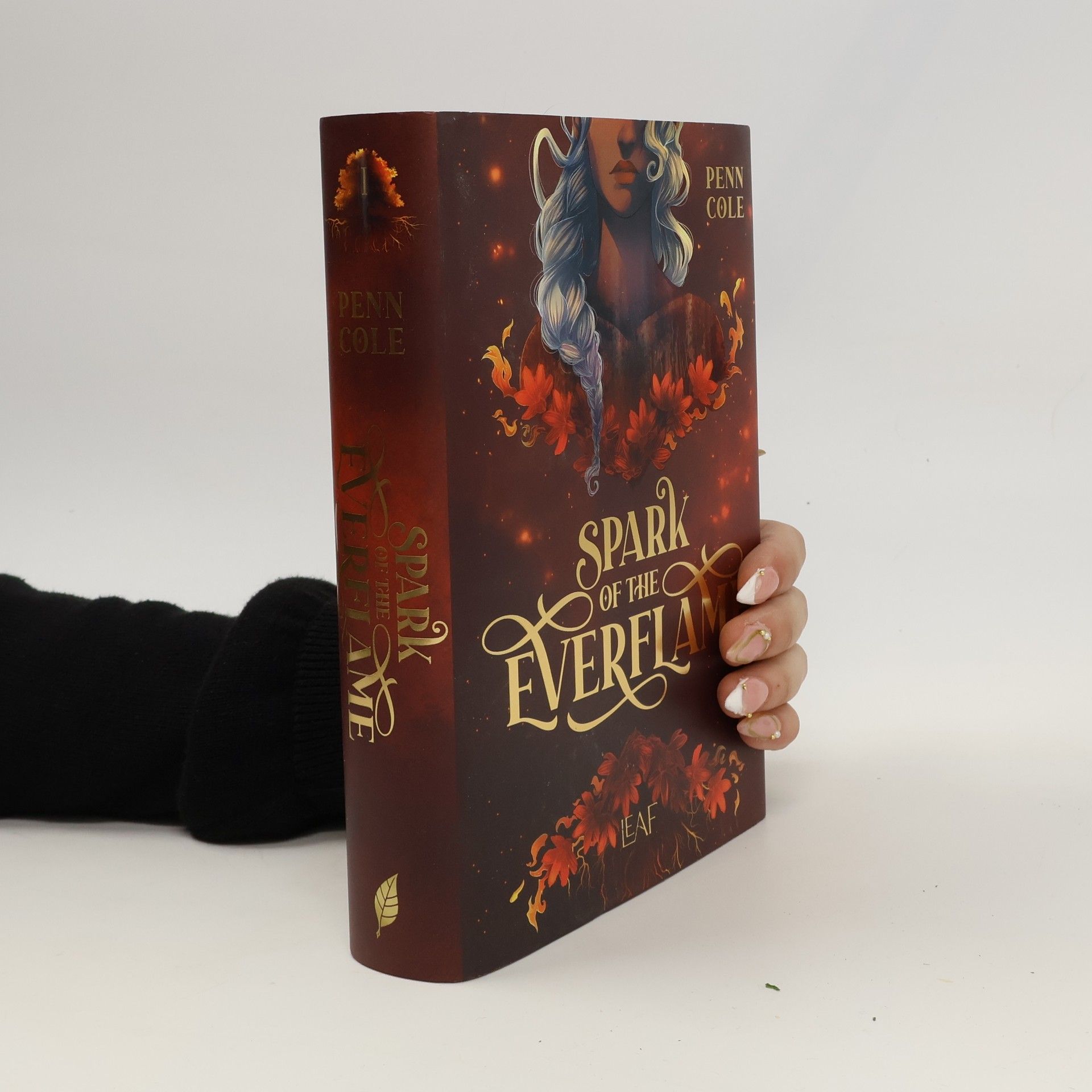 Penn Cole Spark of the Everflame / Kindred´s Curse Saga Bd.1
