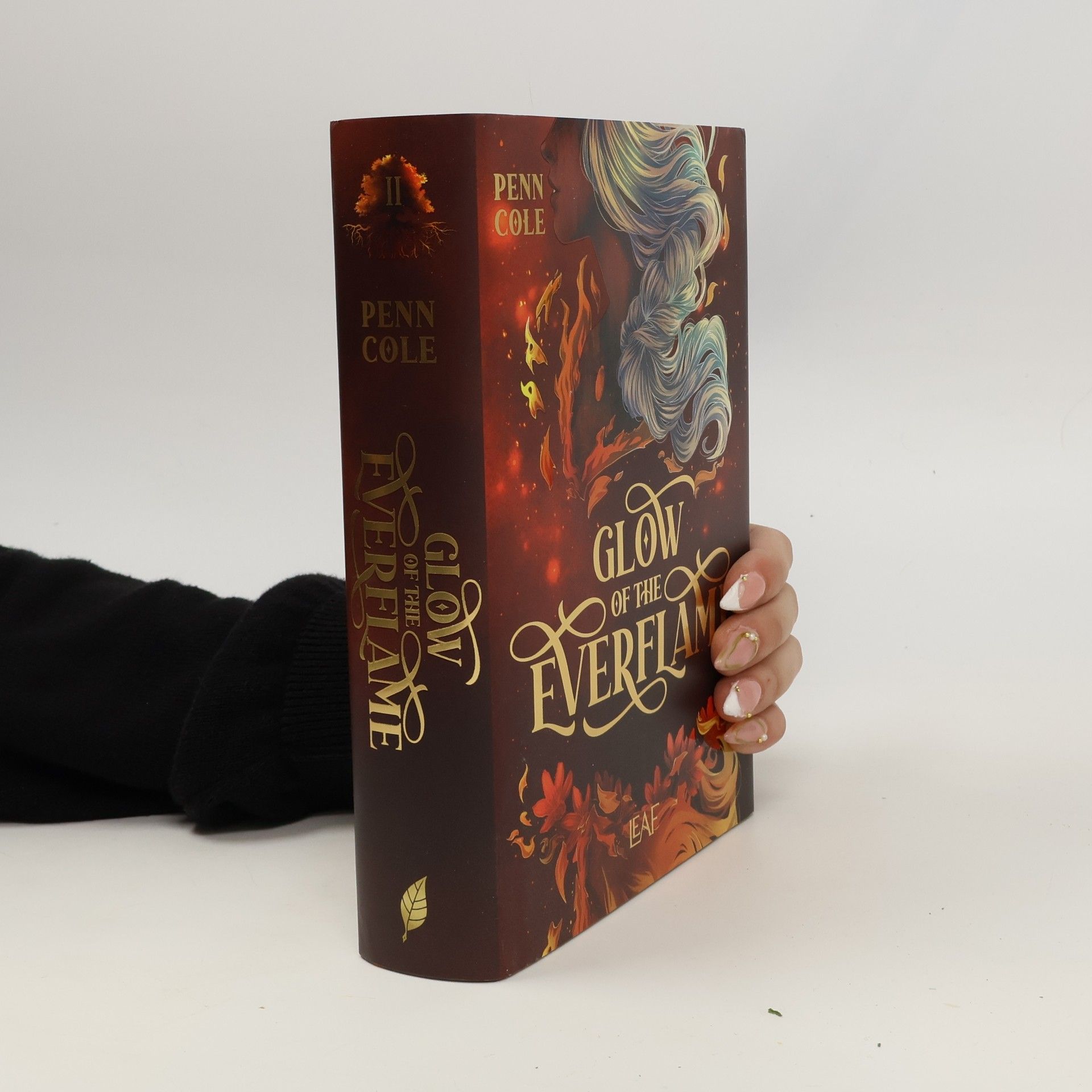 Penn Cole Glow of the Everflame / Kindred´s Curse Saga Bd.2