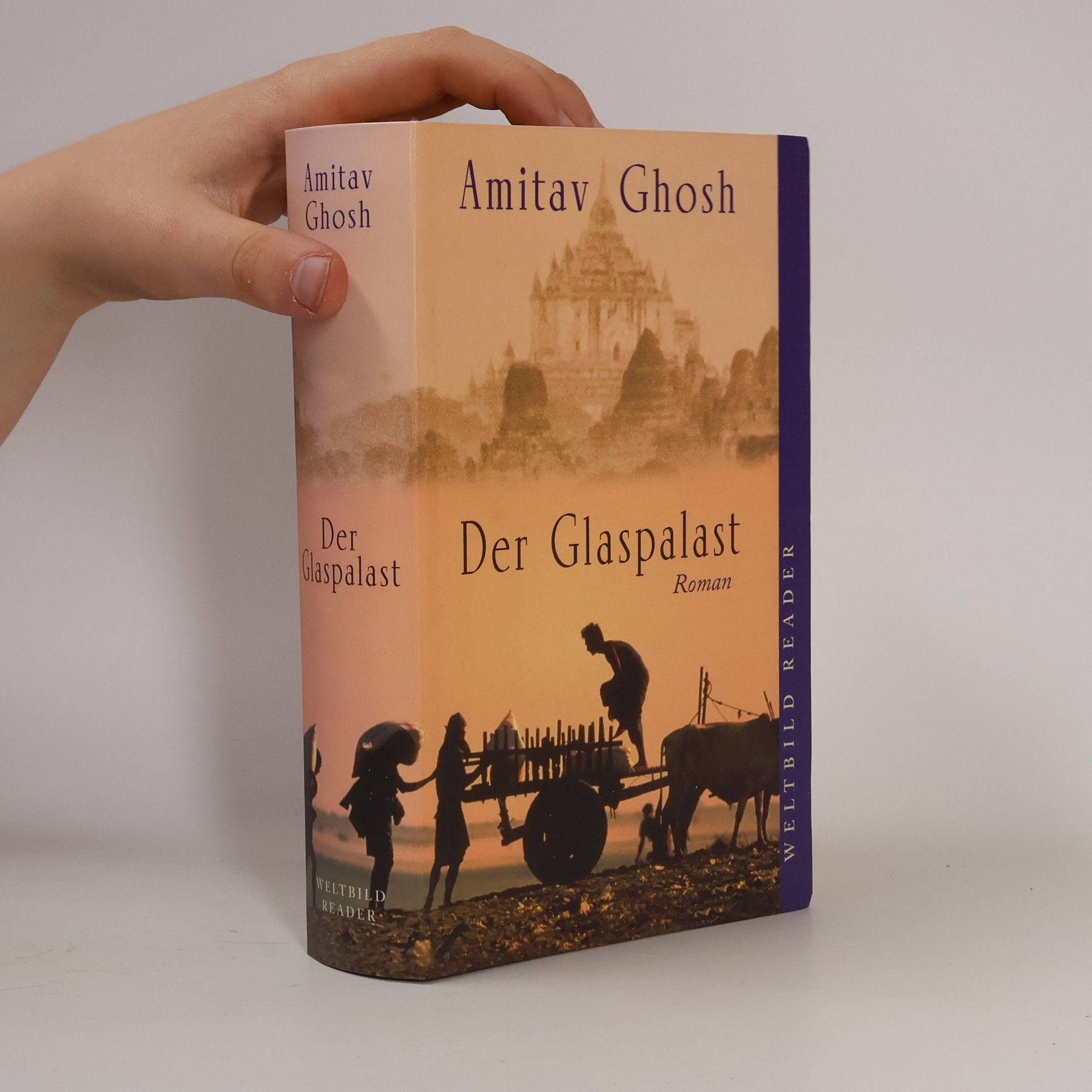 Amitav Ghosh Der Glaspalast