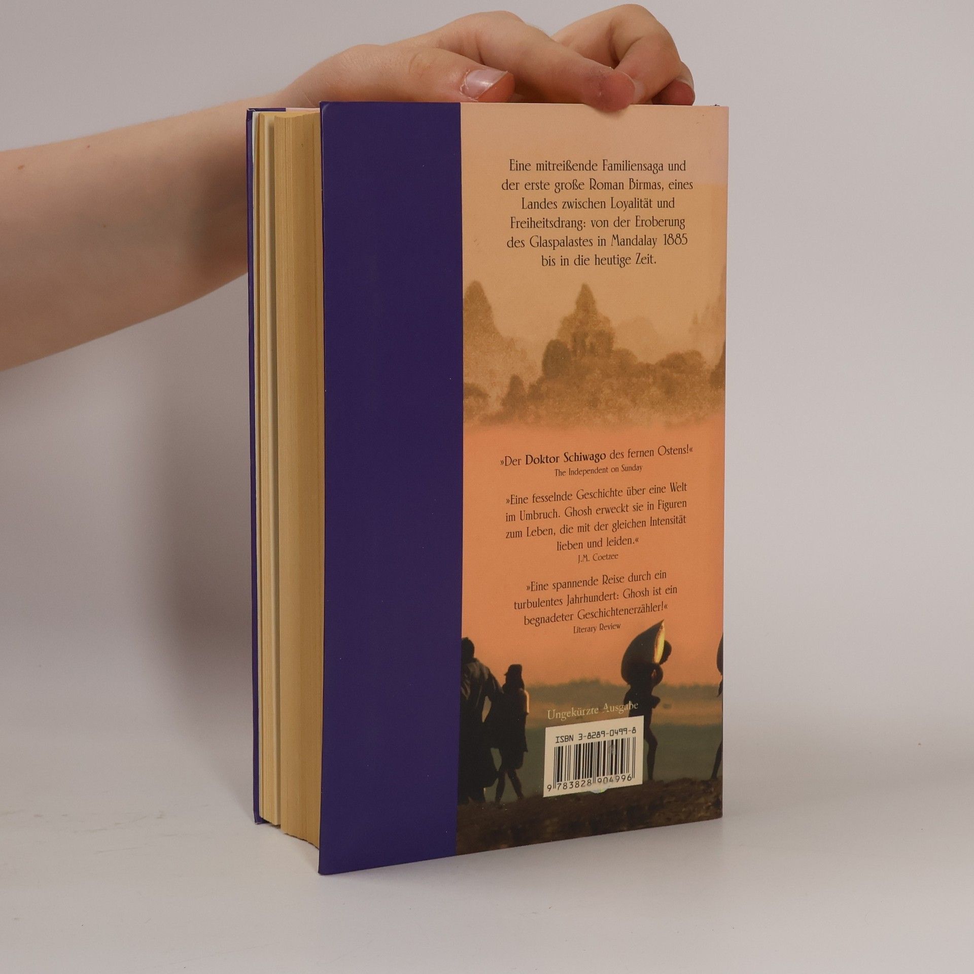 Amitav Ghosh Der Glaspalast