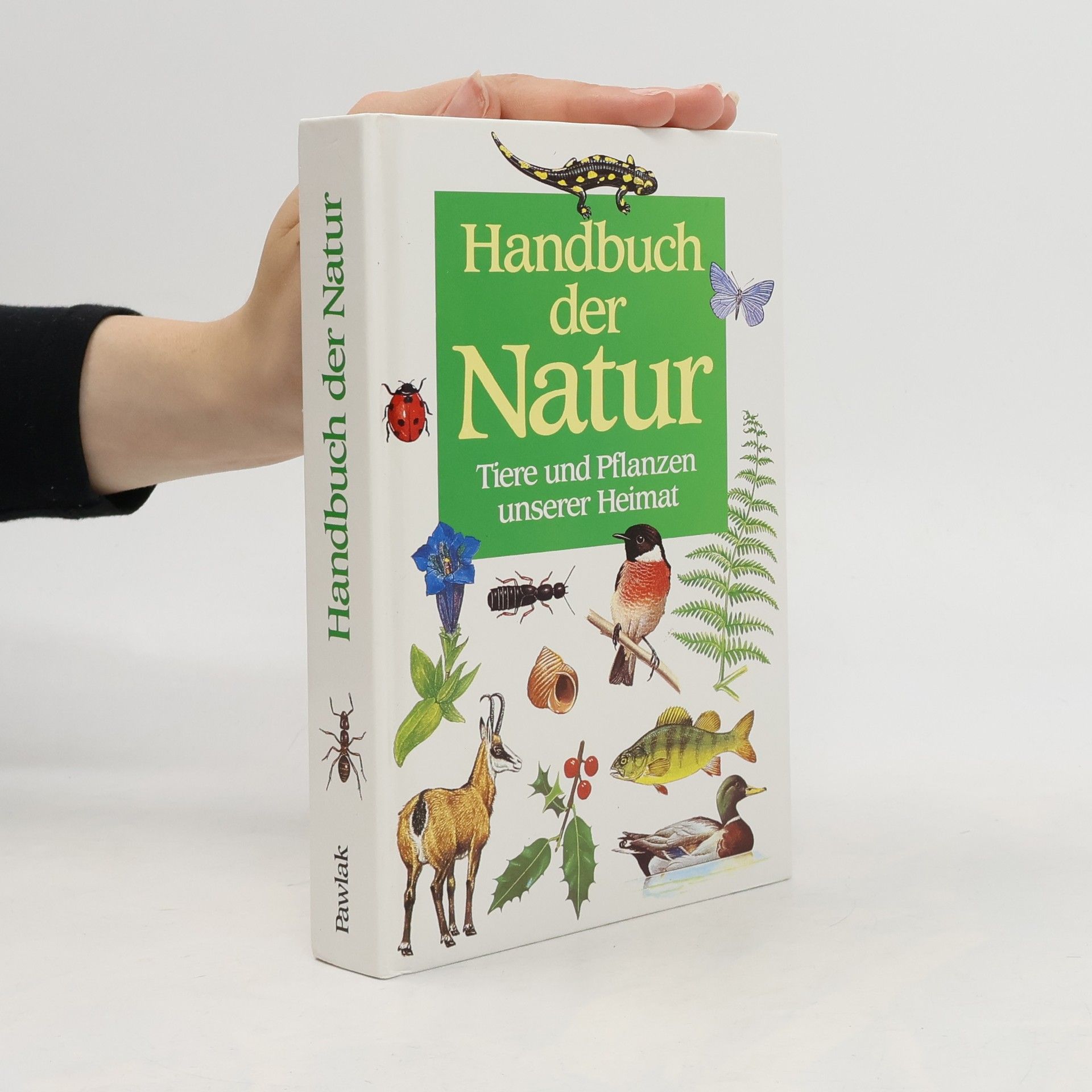 Marcus Würmli Handbuch der Natur