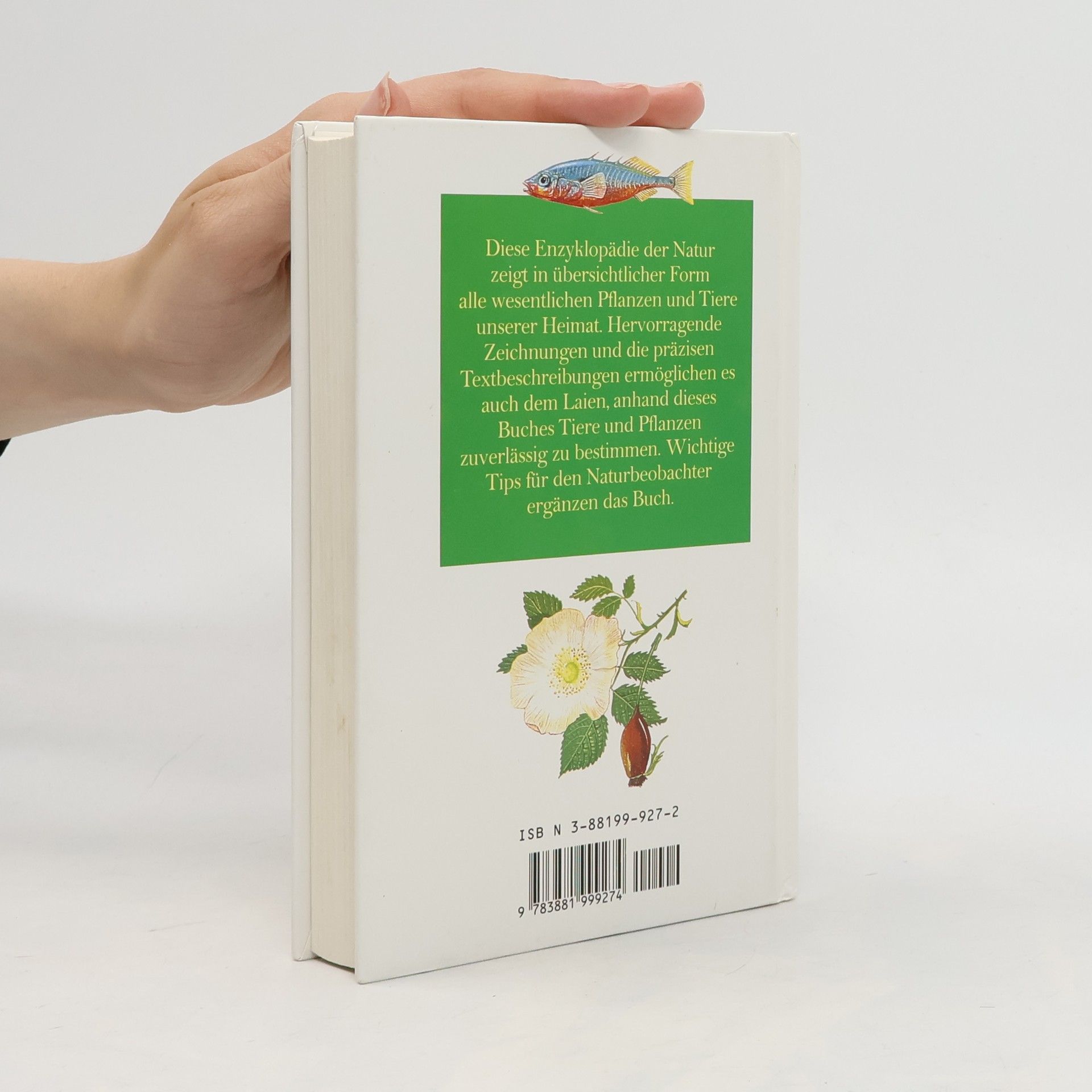 Marcus Würmli Handbuch der Natur