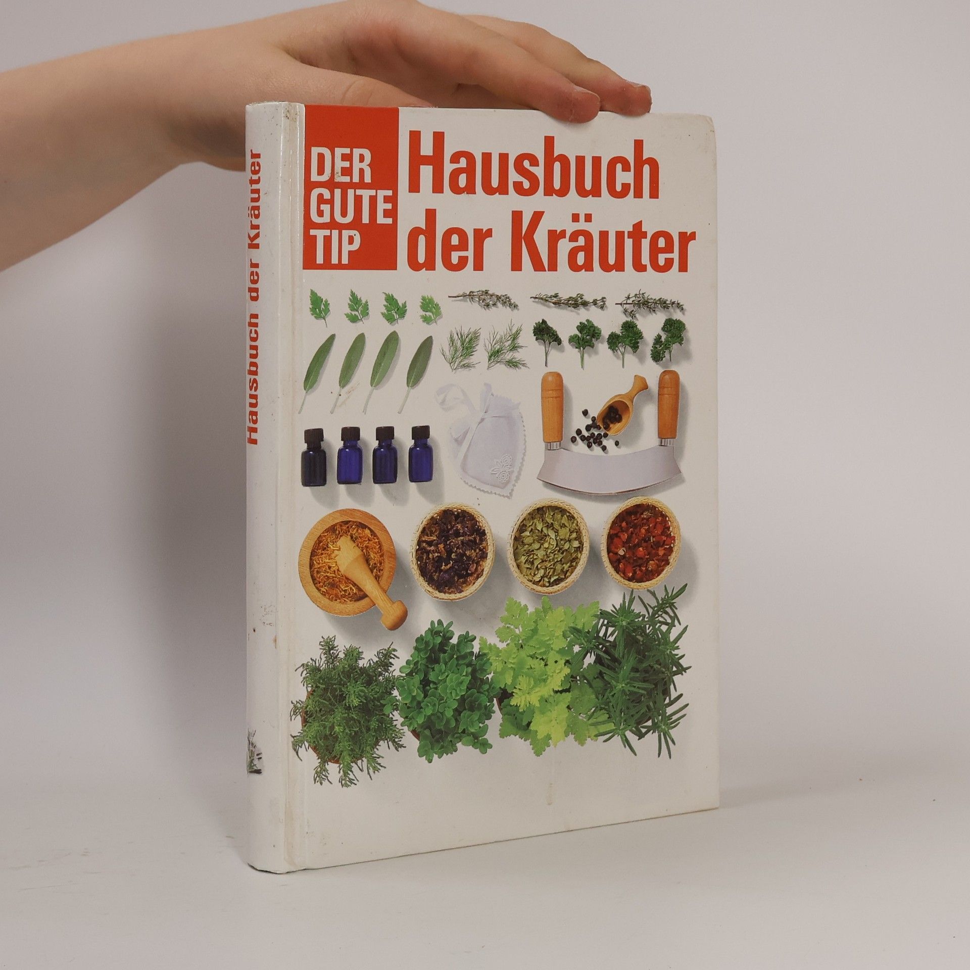 Autorenkollektiv Hausbuch der Kräuter
