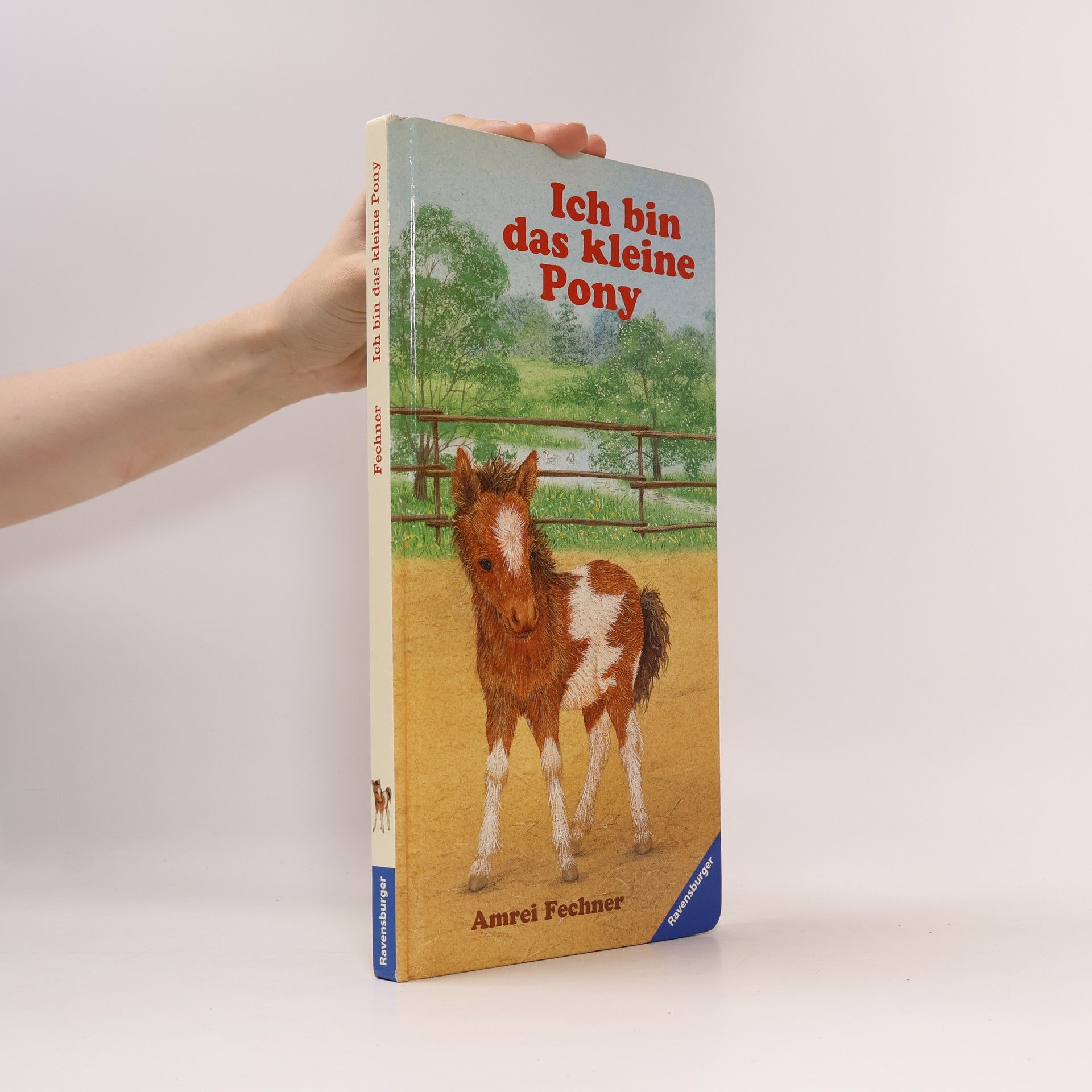 Amrei Fechner Ich bin das kleine Pony