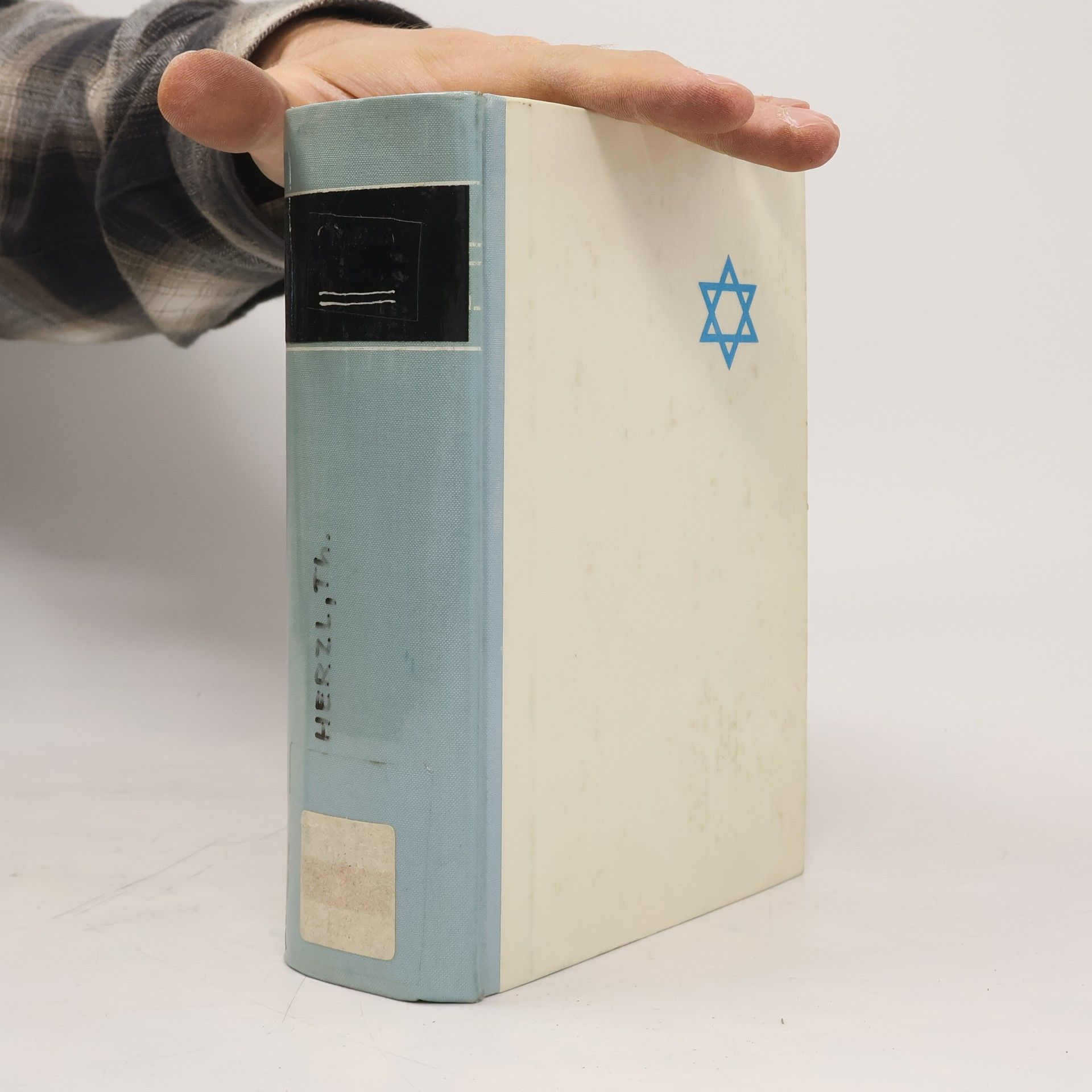 Alex Bein Theodor Herzl