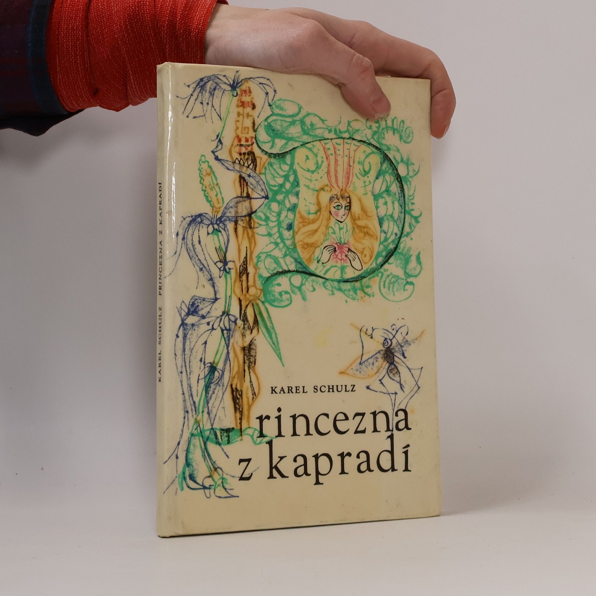 Karel Schulz Princezna z kapradí