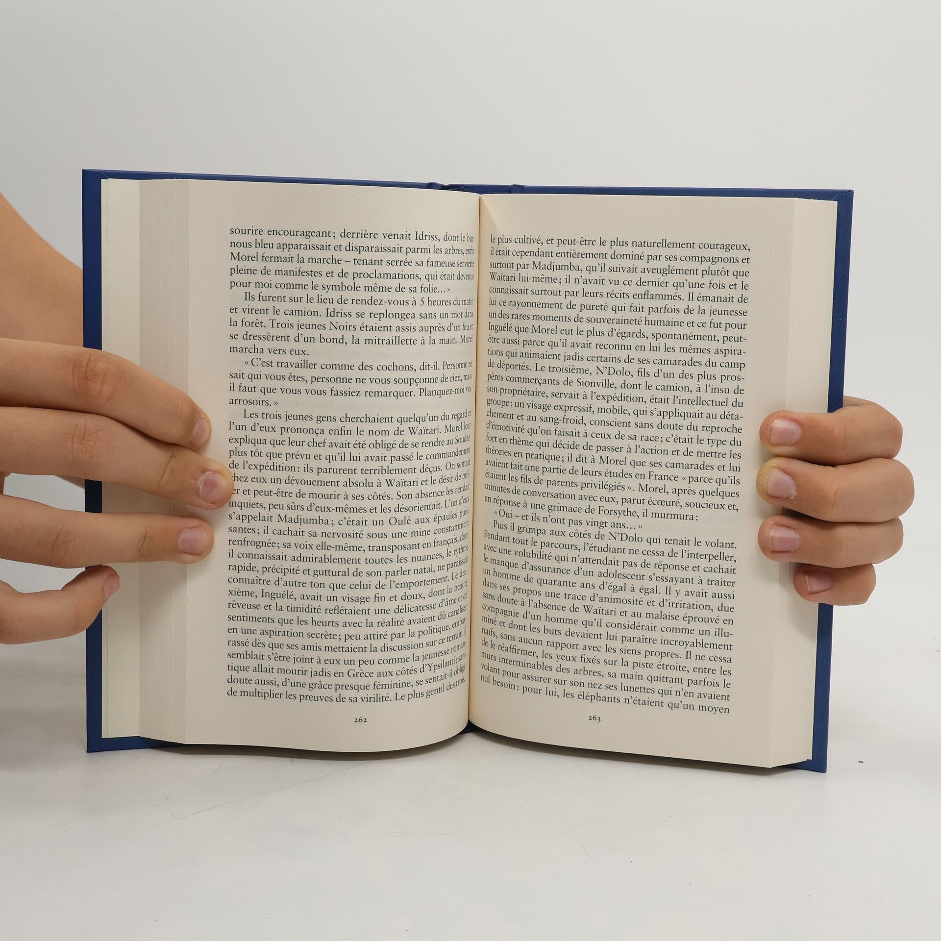 Romain Gary Le Meilleur du Prix Goncourt: Les Racines du ciel
