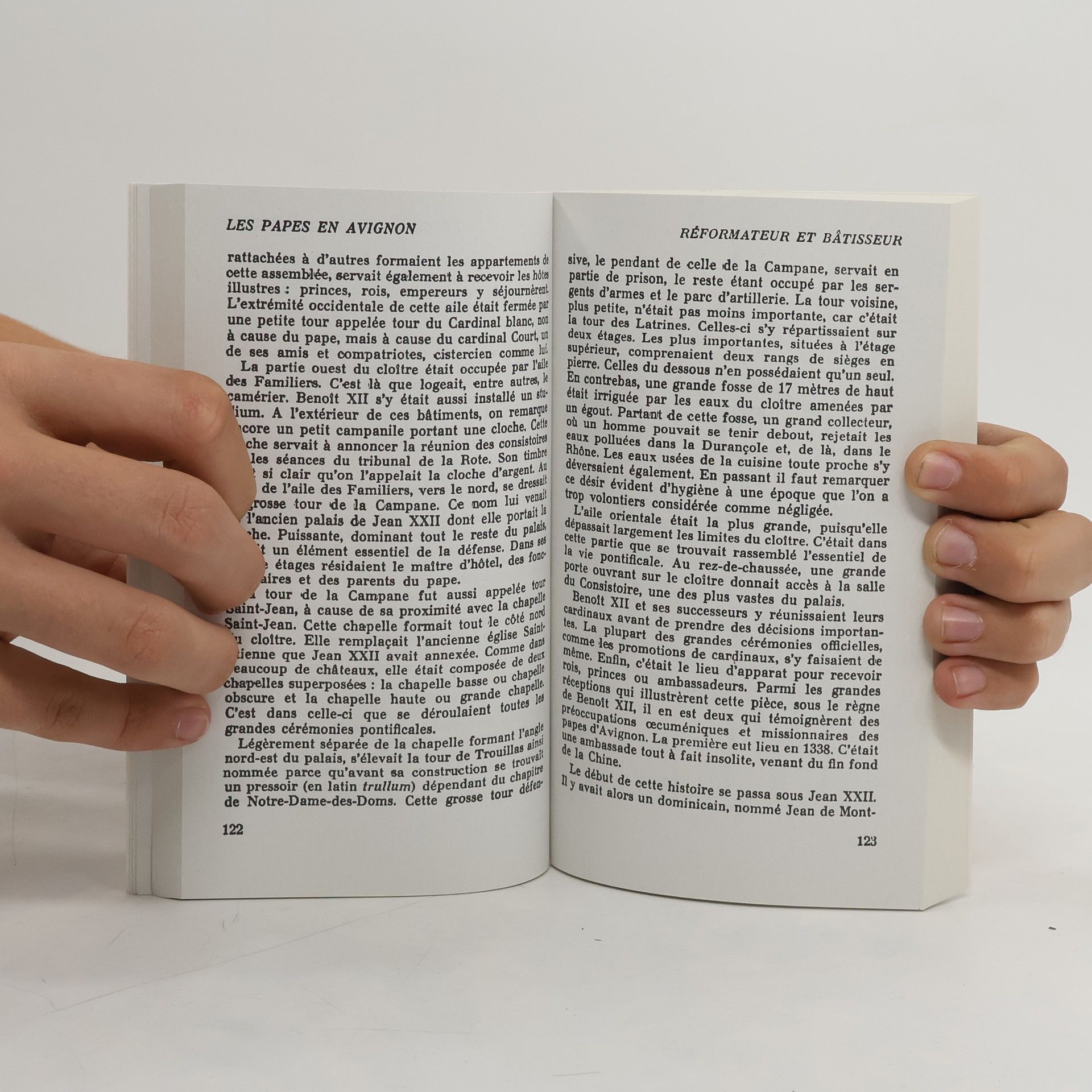 Dominique Paladilhe Les papes en Avignon