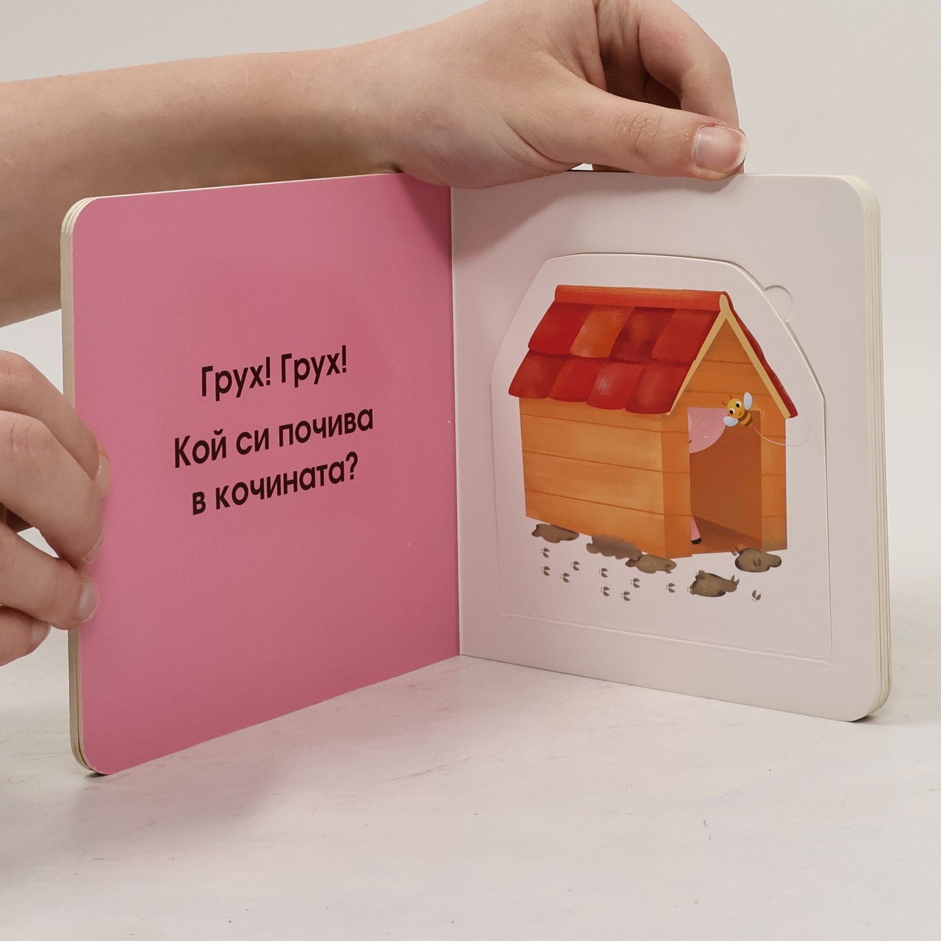 Auteurscollectief Кой се крие тук?