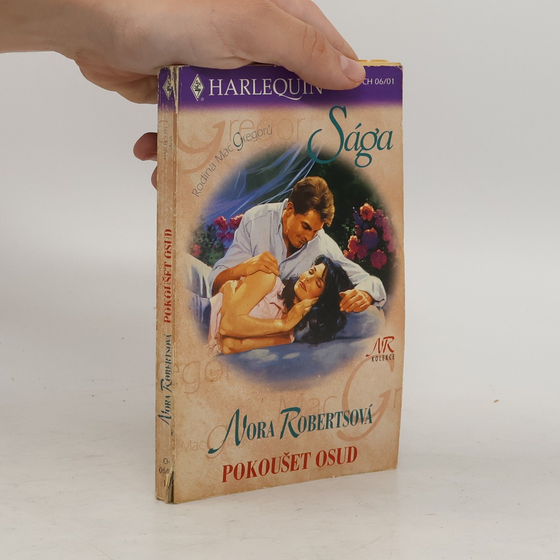 Nora Roberts Pokoušet osud