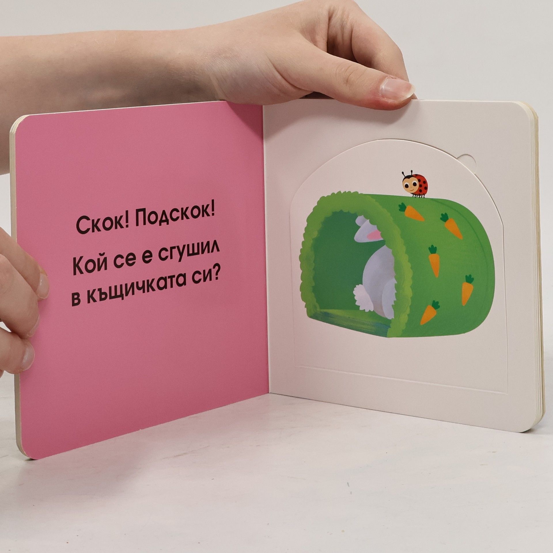 Autorenkollektiv Кой се крие тук?