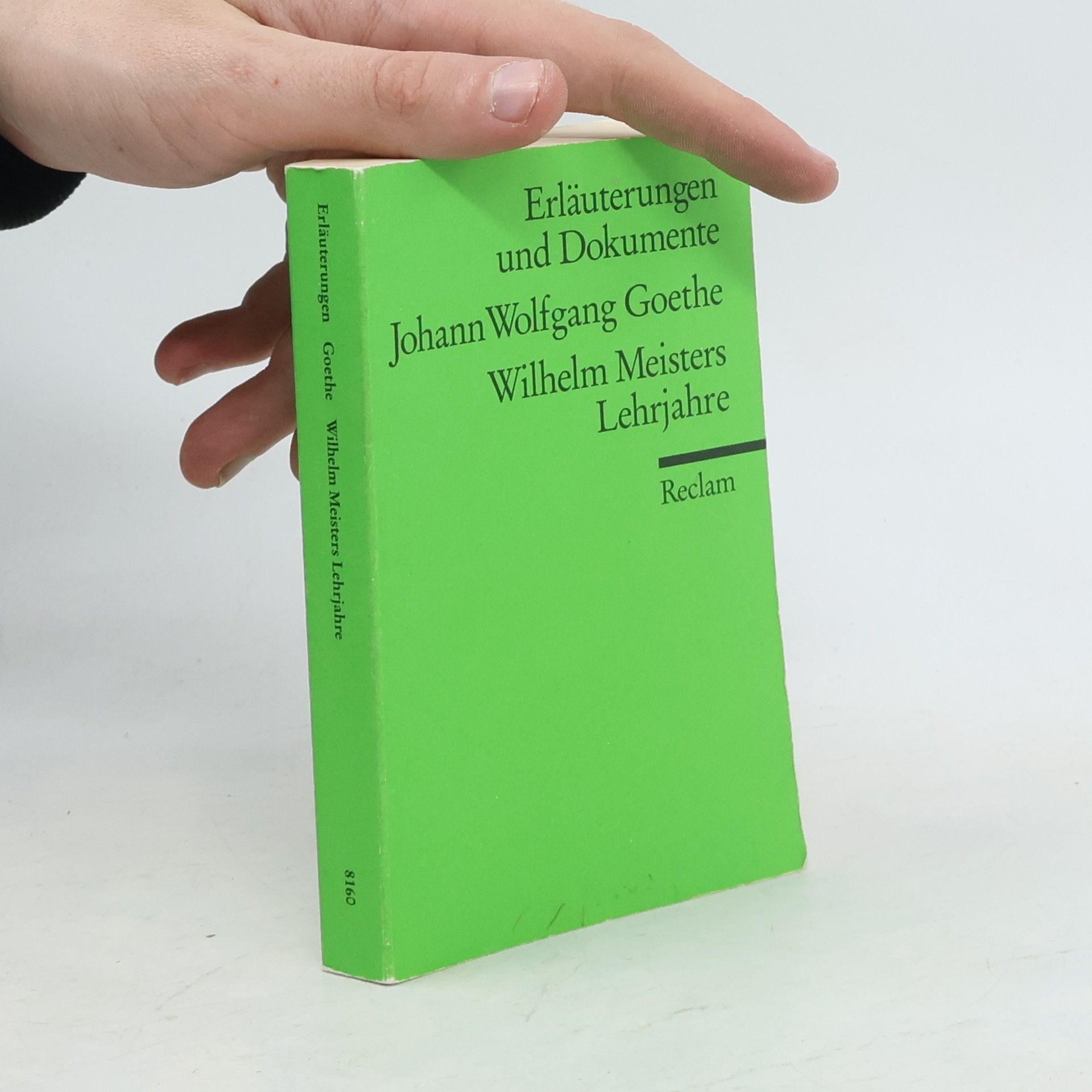 Ehrhard Bahr Johann Wolfgang Goethe, Wilhelm Meisters Lehrjahre