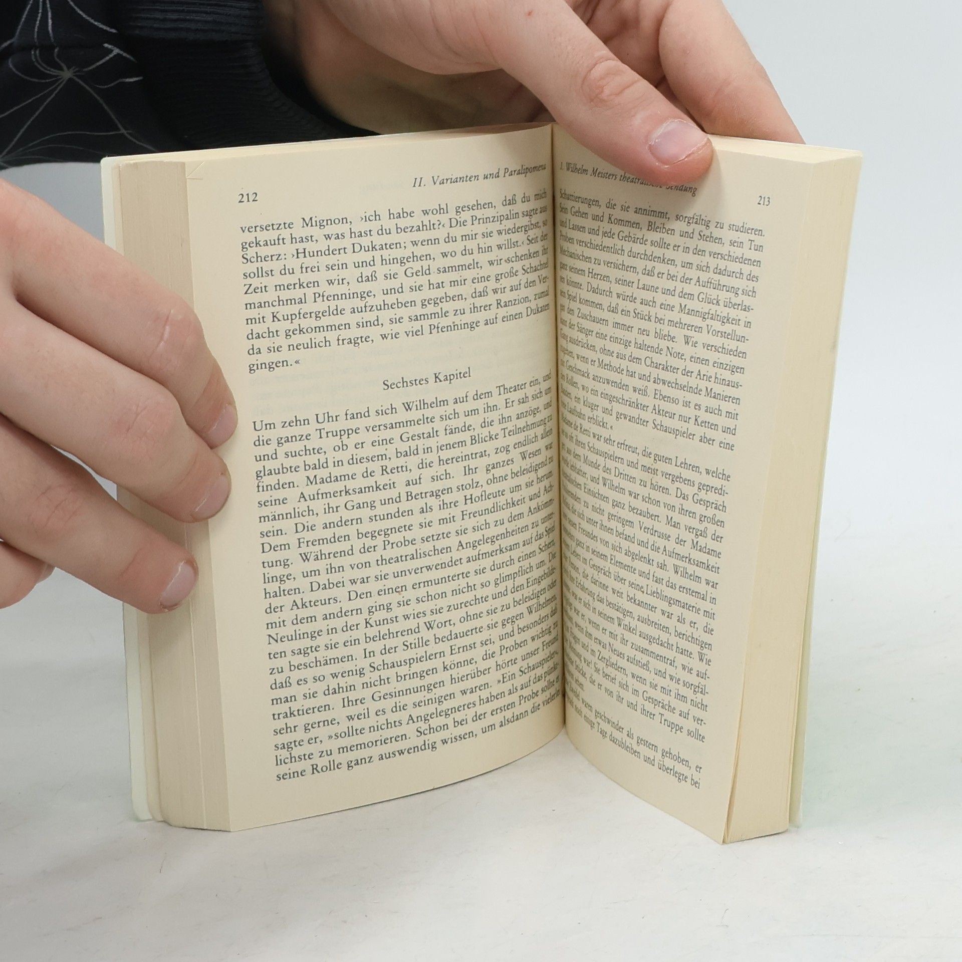 Ehrhard Bahr Johann Wolfgang Goethe, Wilhelm Meisters Lehrjahre