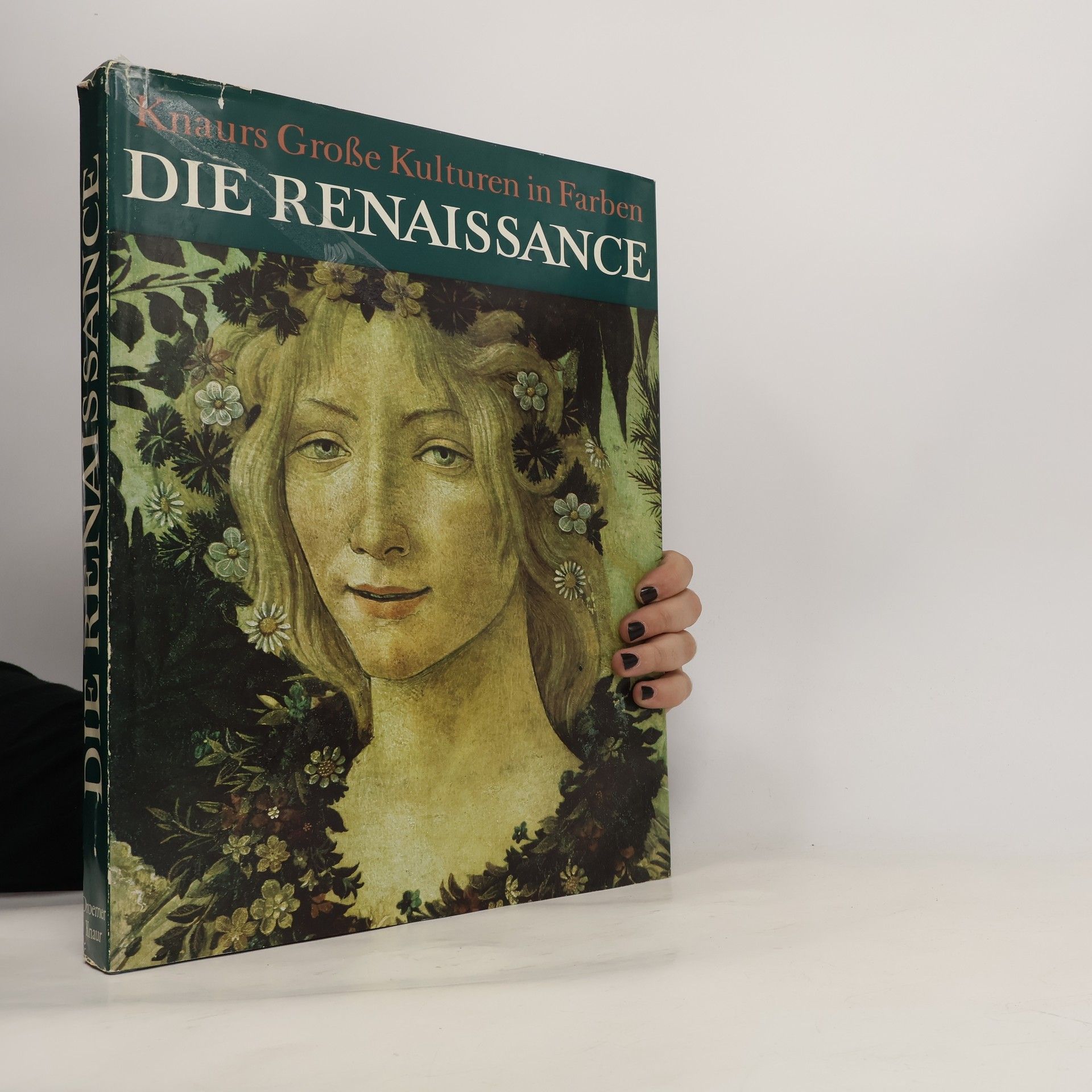 Various authors Die Renaissance
