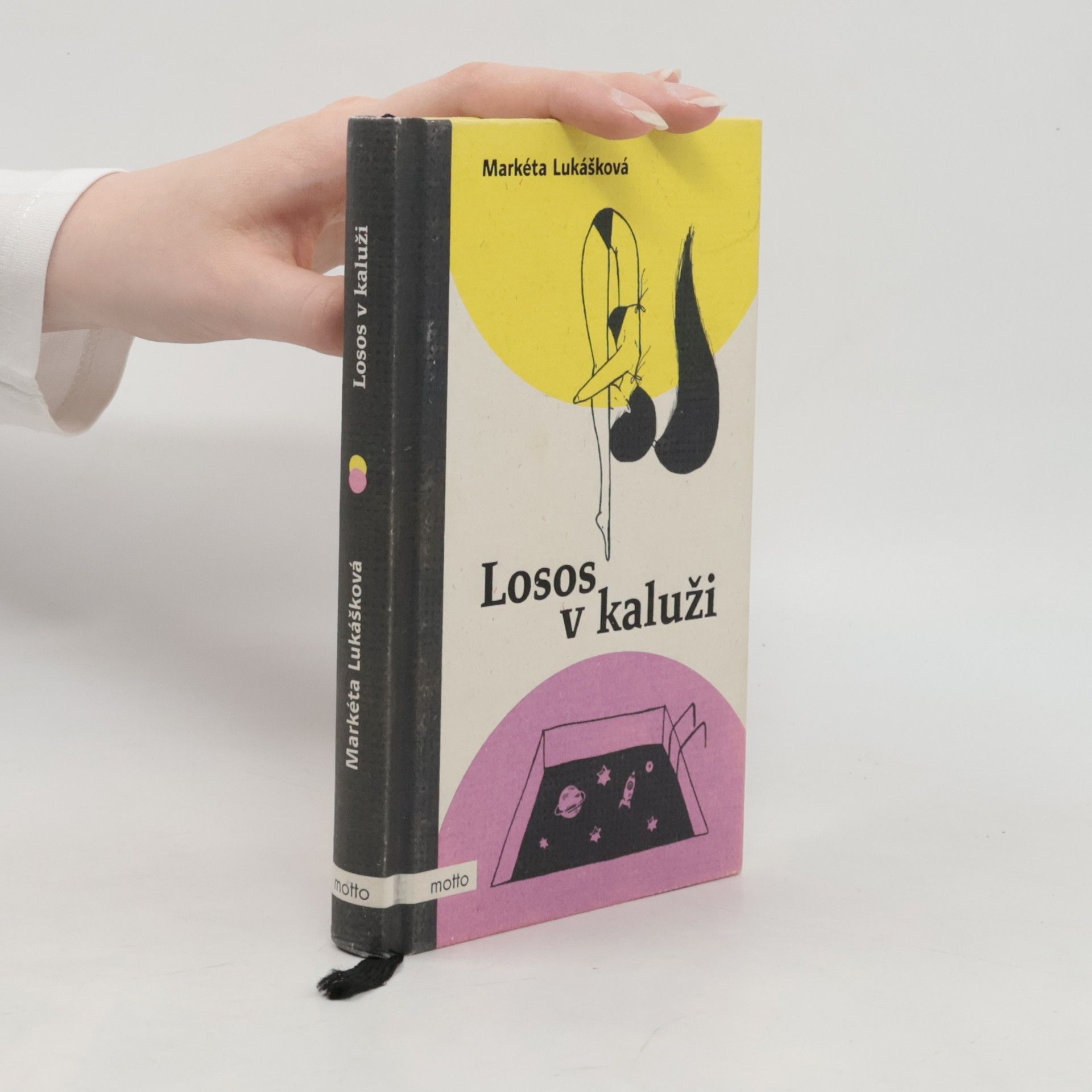 Markéta Lukášková Losos v kaluži