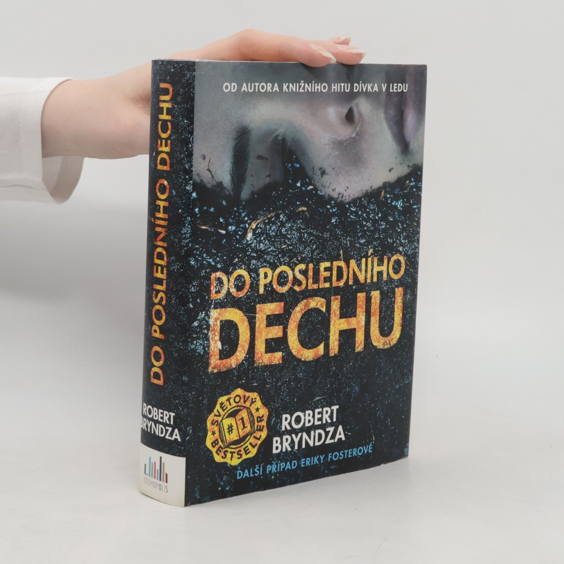 Robert Bryndza Do posledního dechu