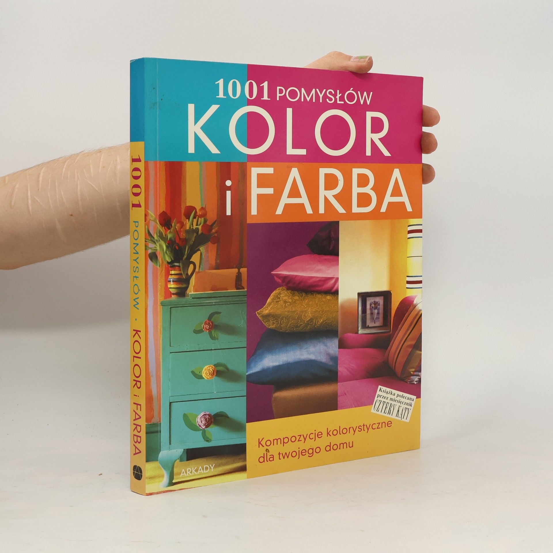 Anne Justin Kolor i farba 1001 pomysłów