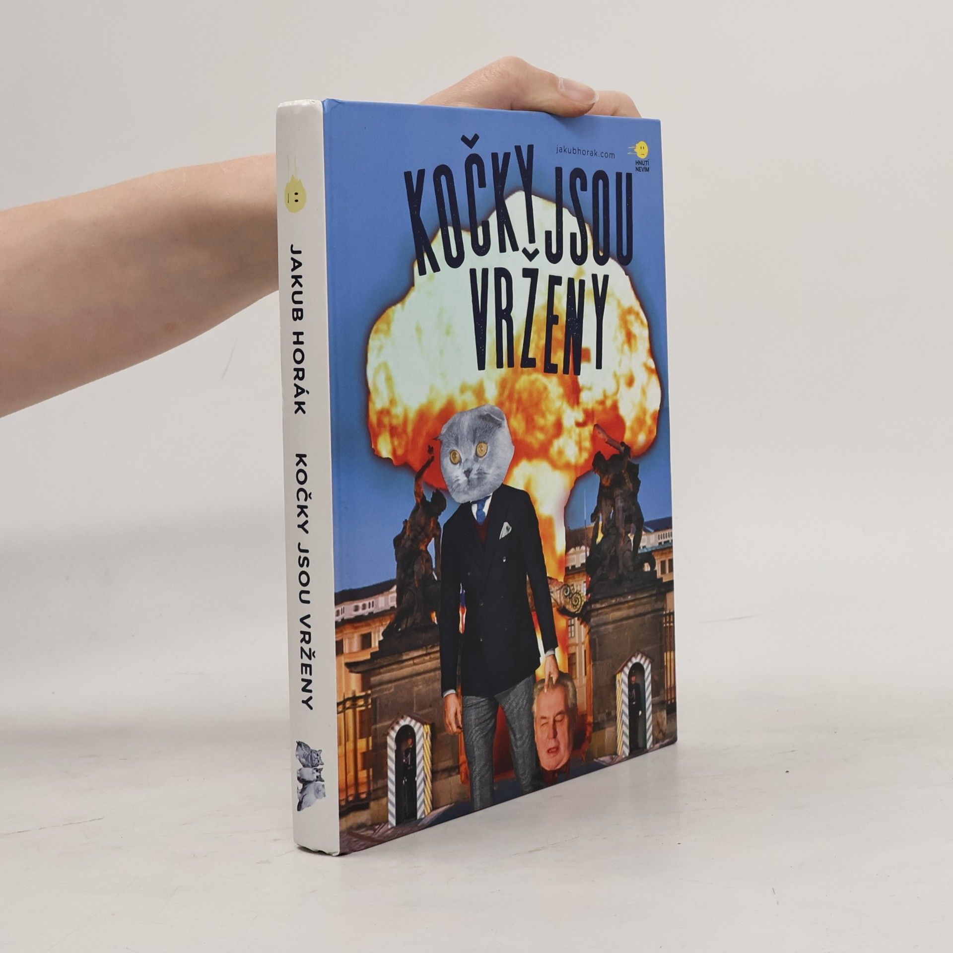 Kočky jsou vrženy: Fantastický román