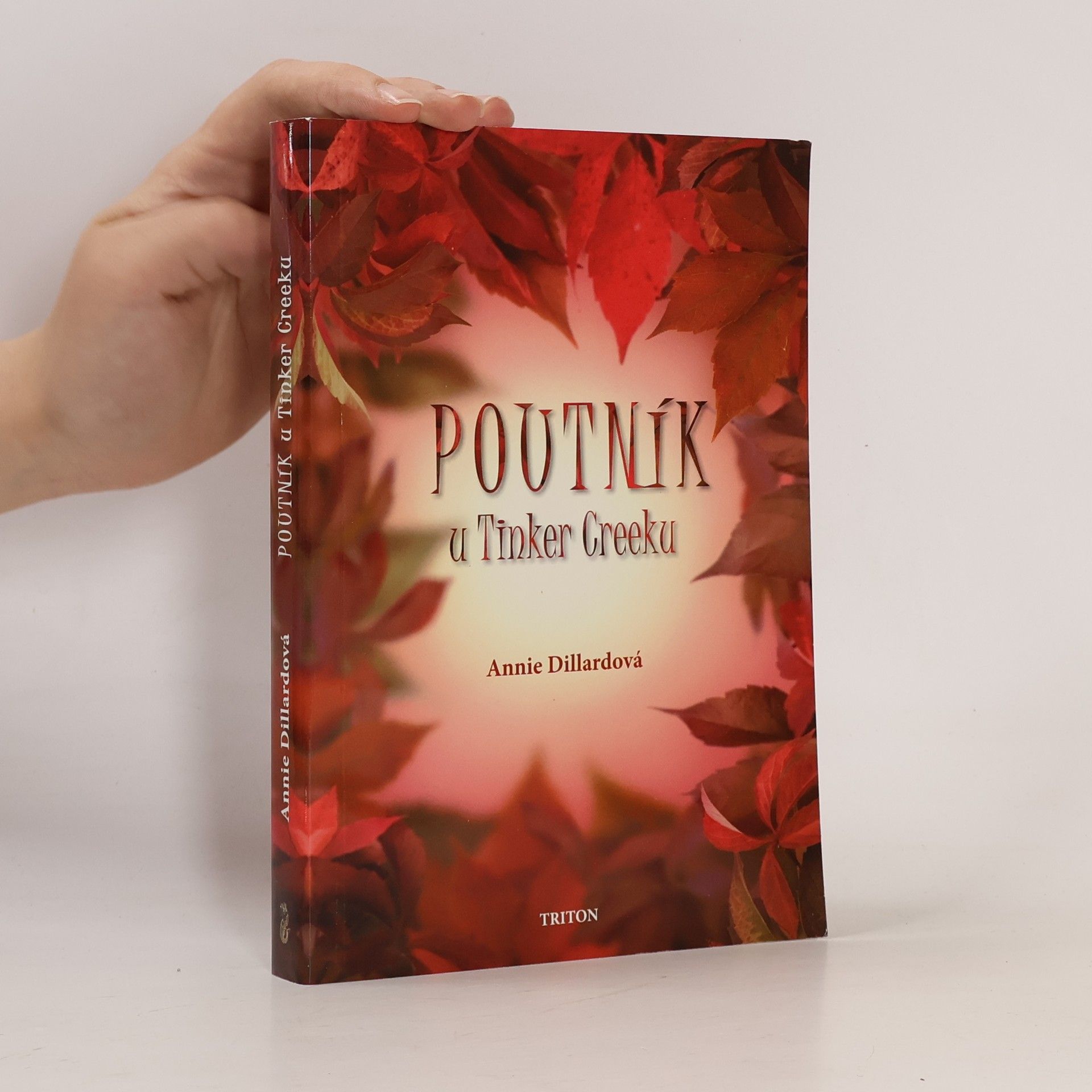Annie Dillard Poutník u Tinker Creeku
