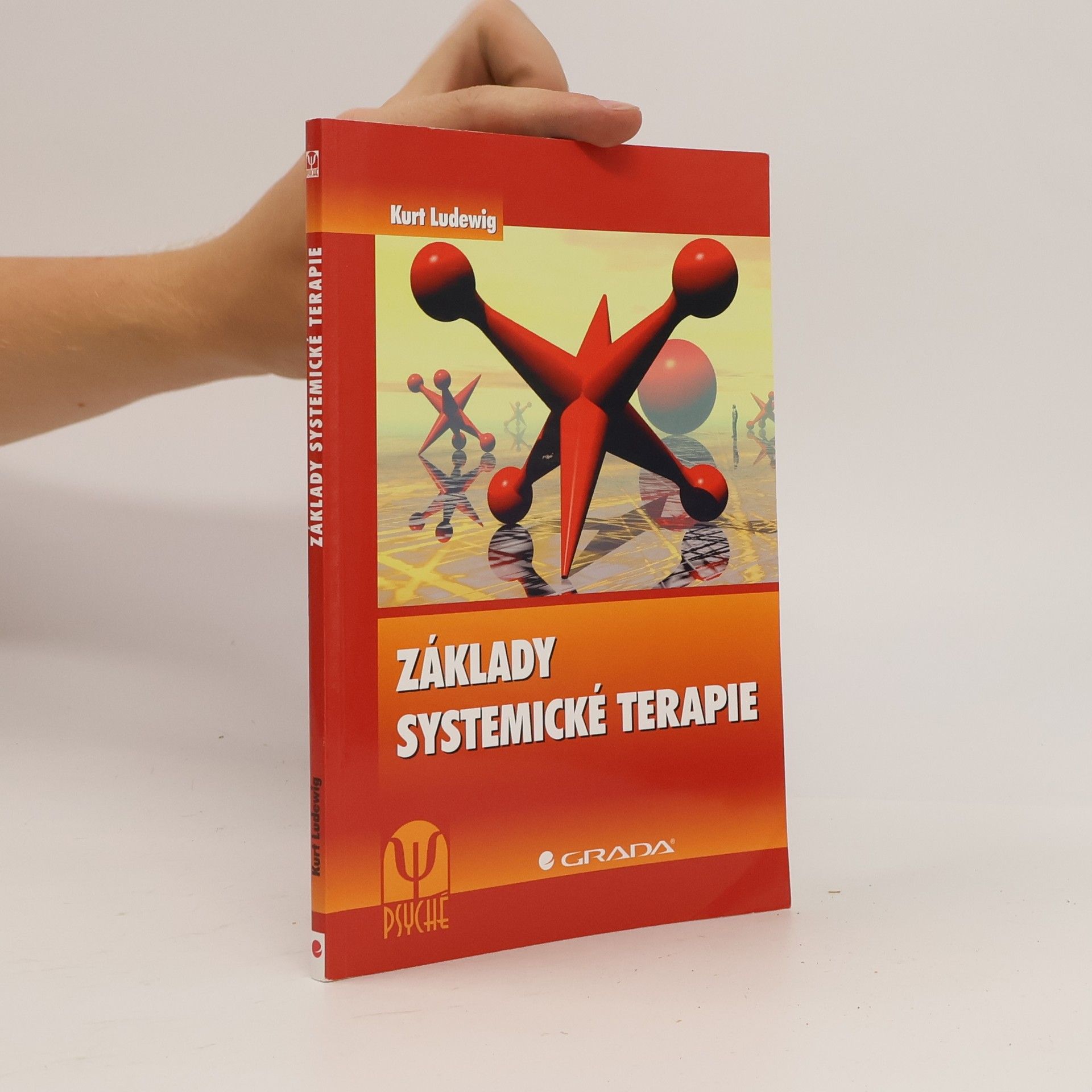 Základy systemické terapie