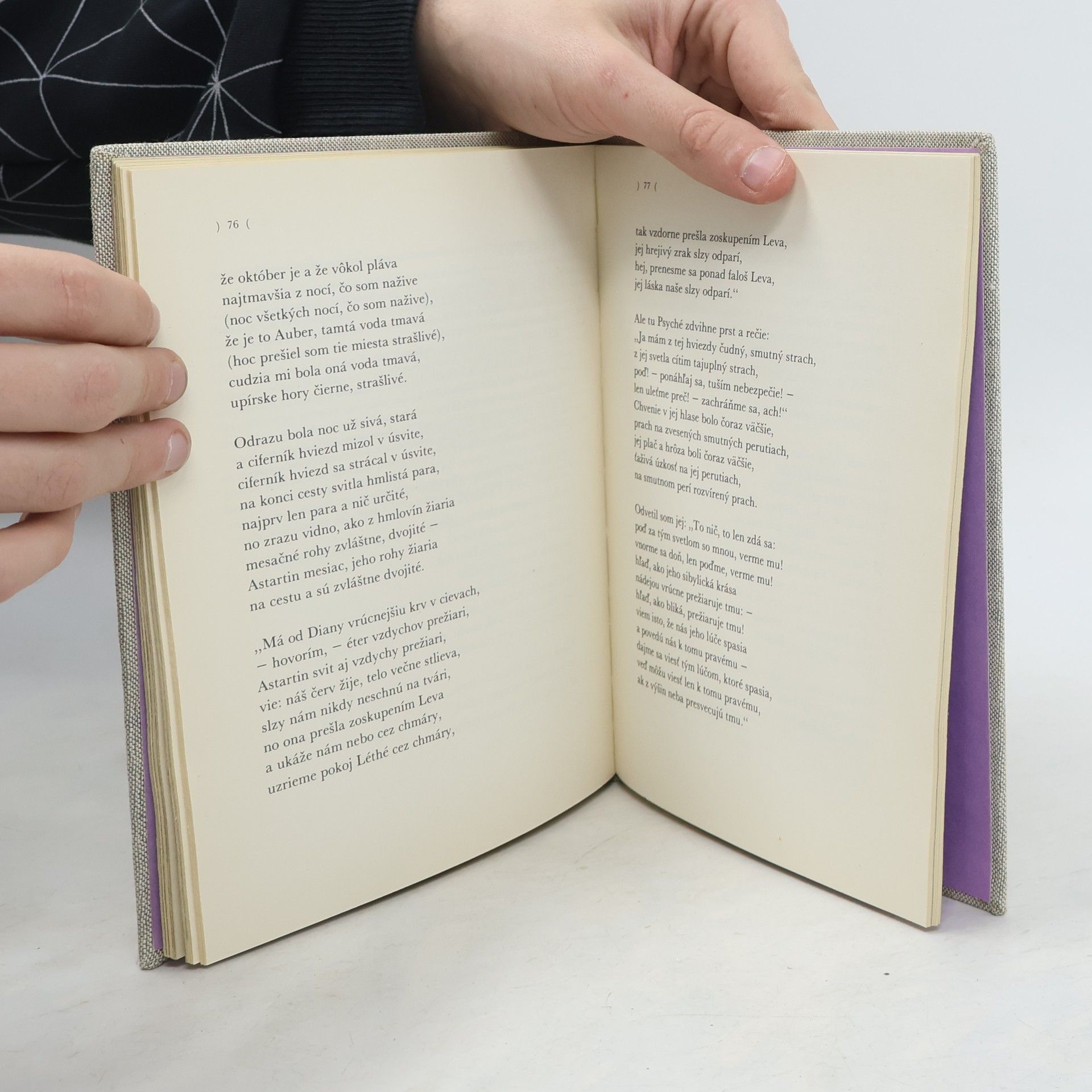 Edgar Allan Poe Havran a iné básne
