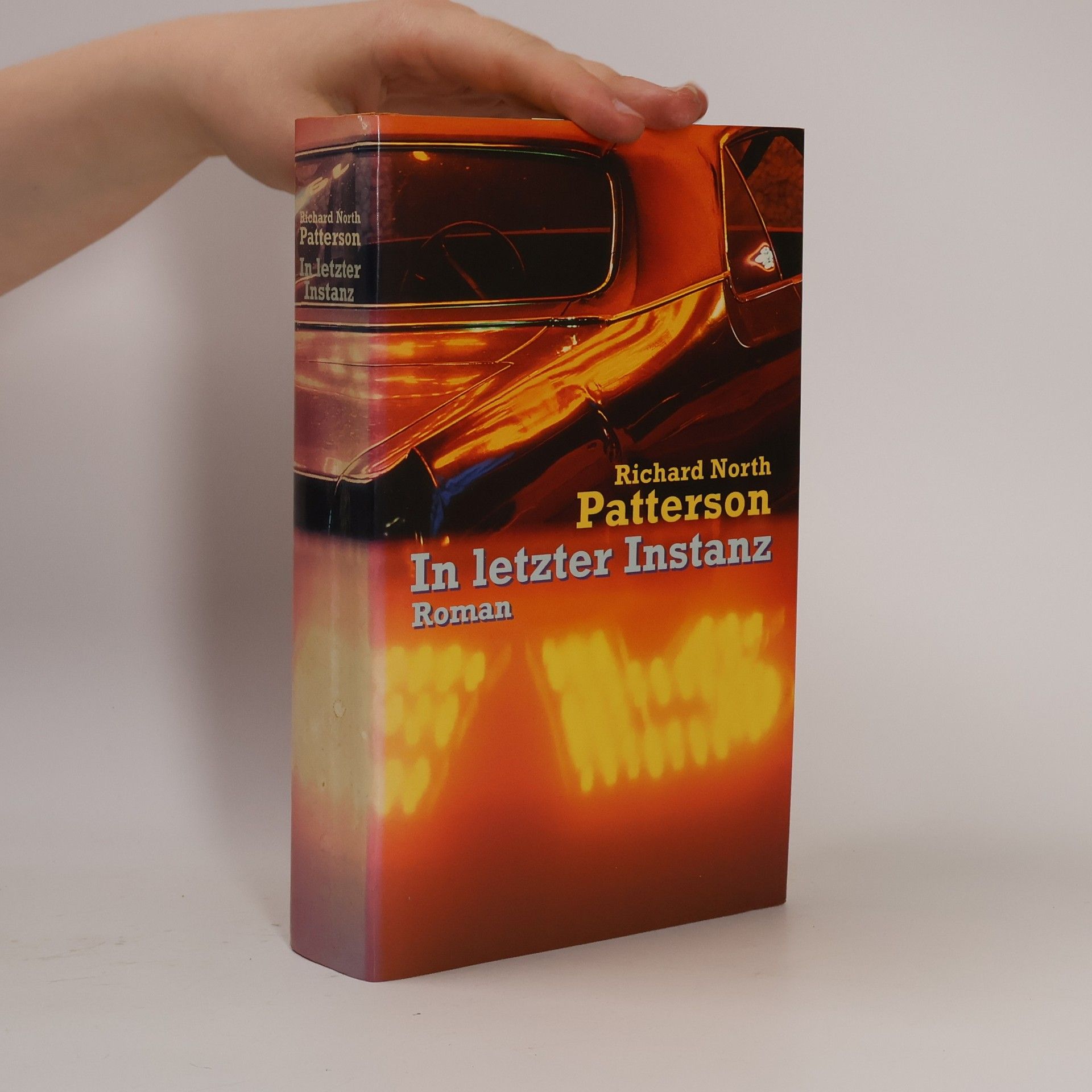 Richard North Patterson In letzter Instanz