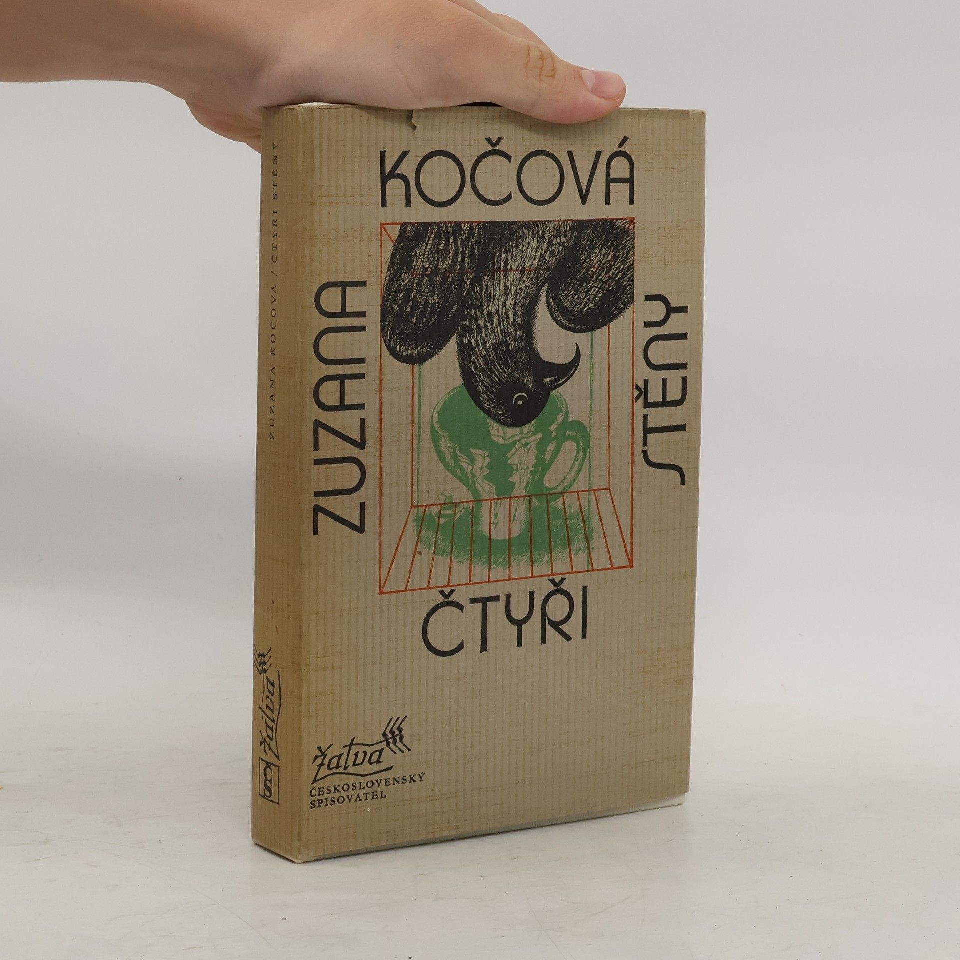 Zuzana Kočová Čtyři stěny