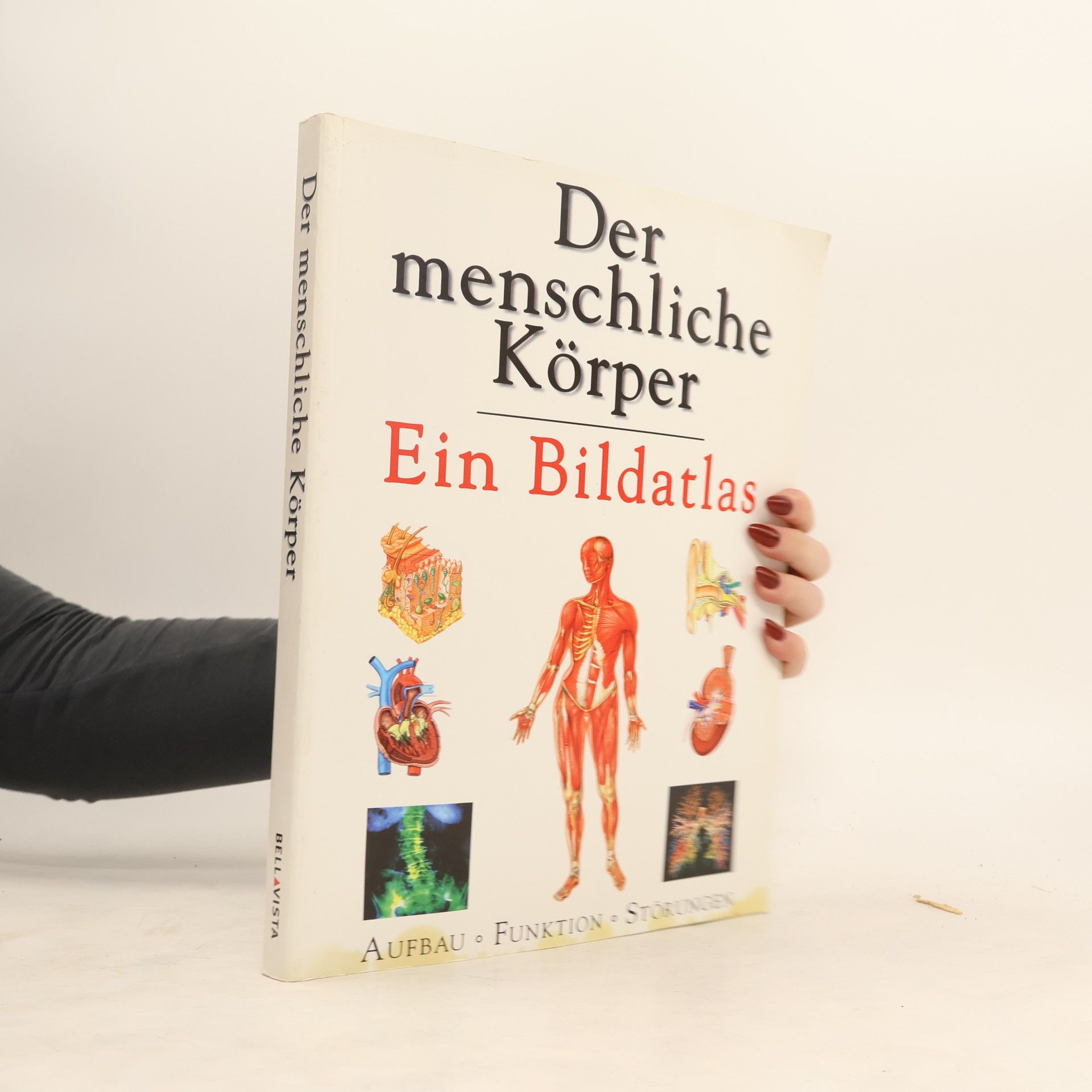 Various authors Der menschliche Körper