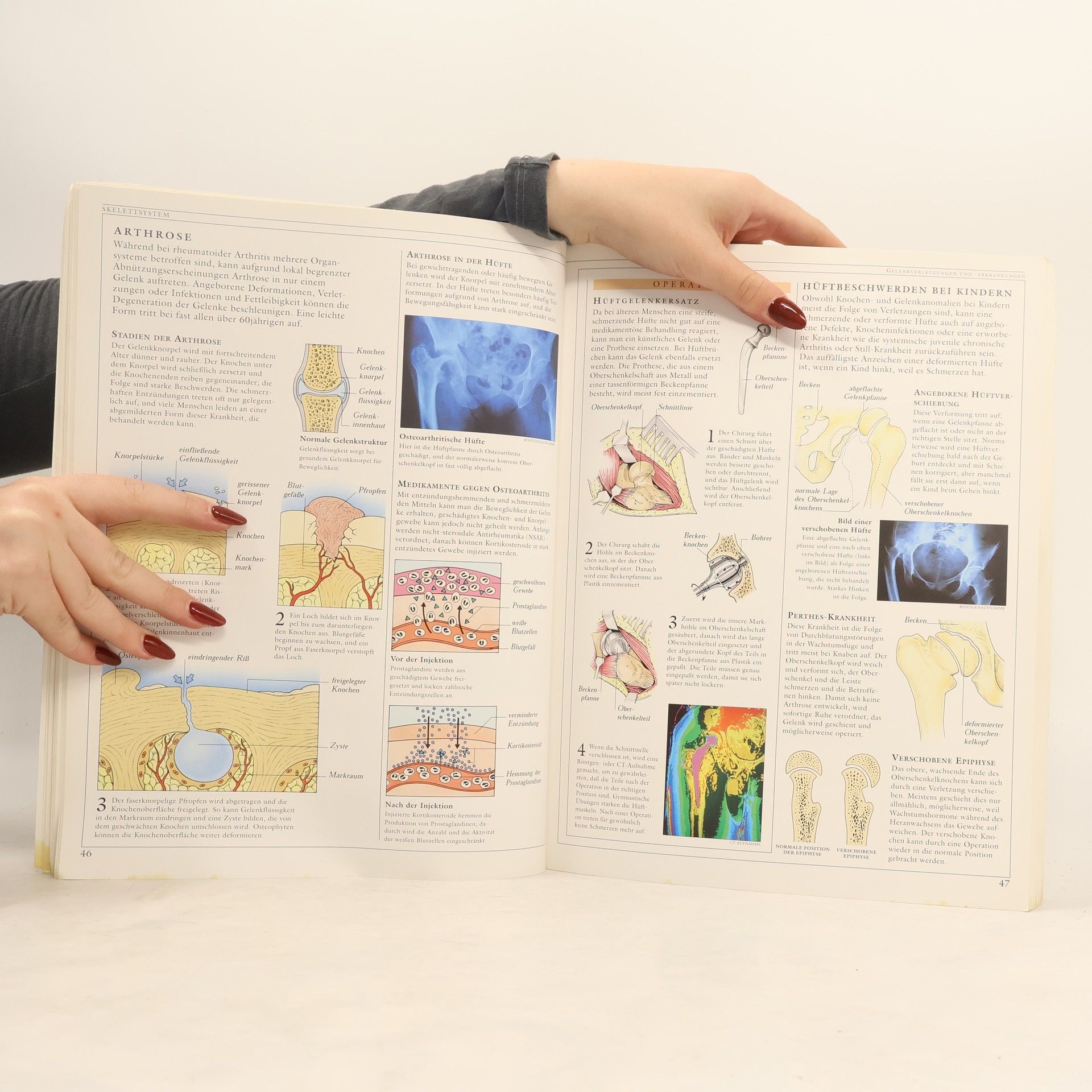 Various authors Der menschliche Körper