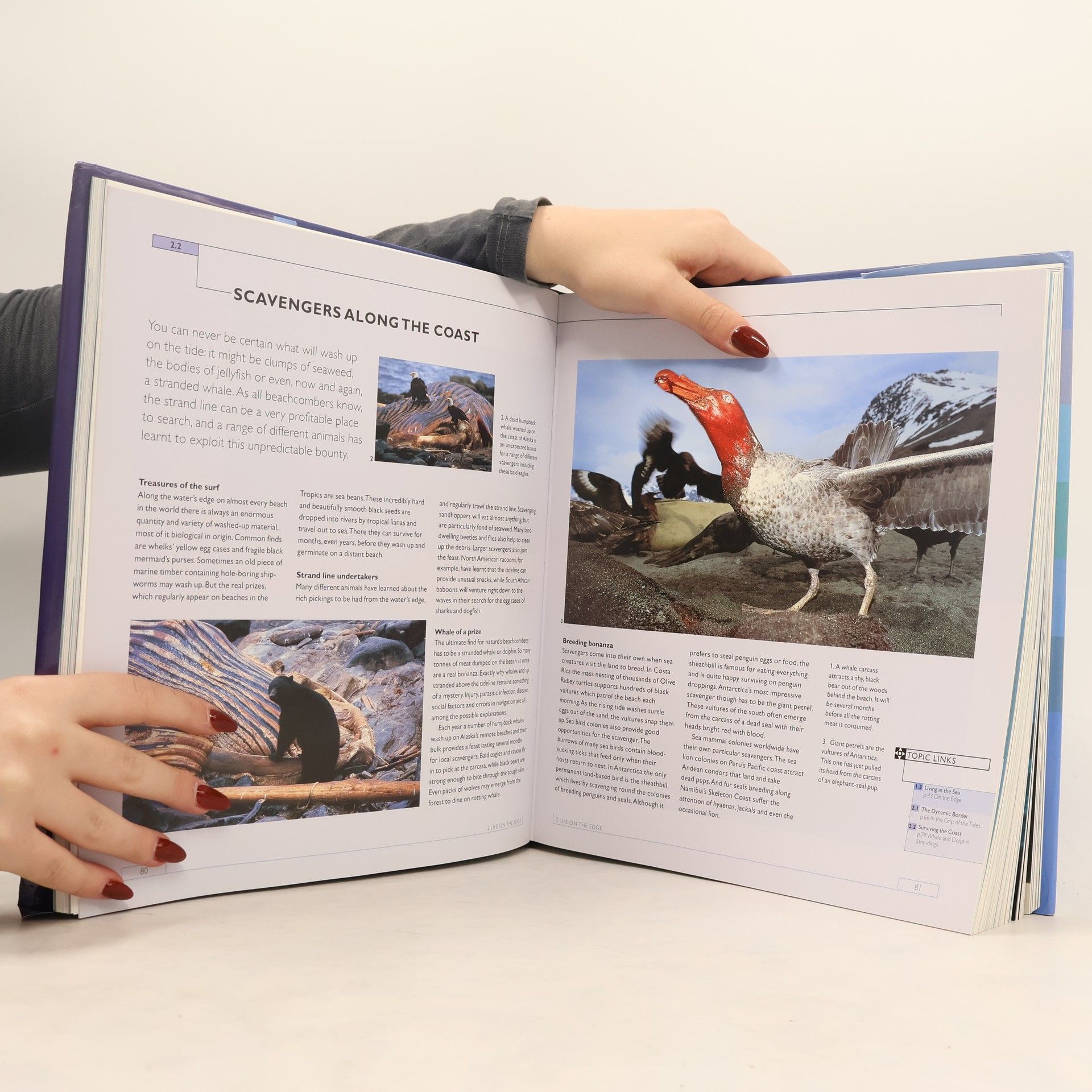 Auteurscollectief The Blue Planet: A Natural History of the Oceans