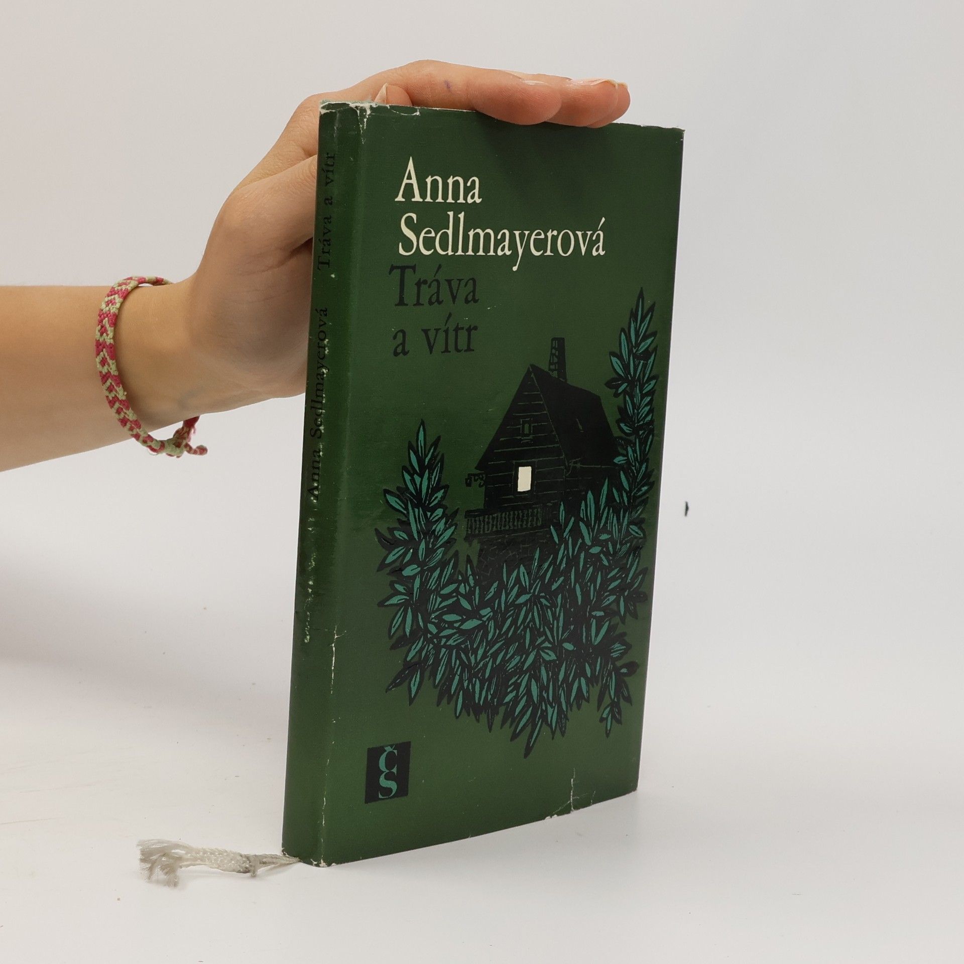Anna Sedlmayerová Tráva a vítr