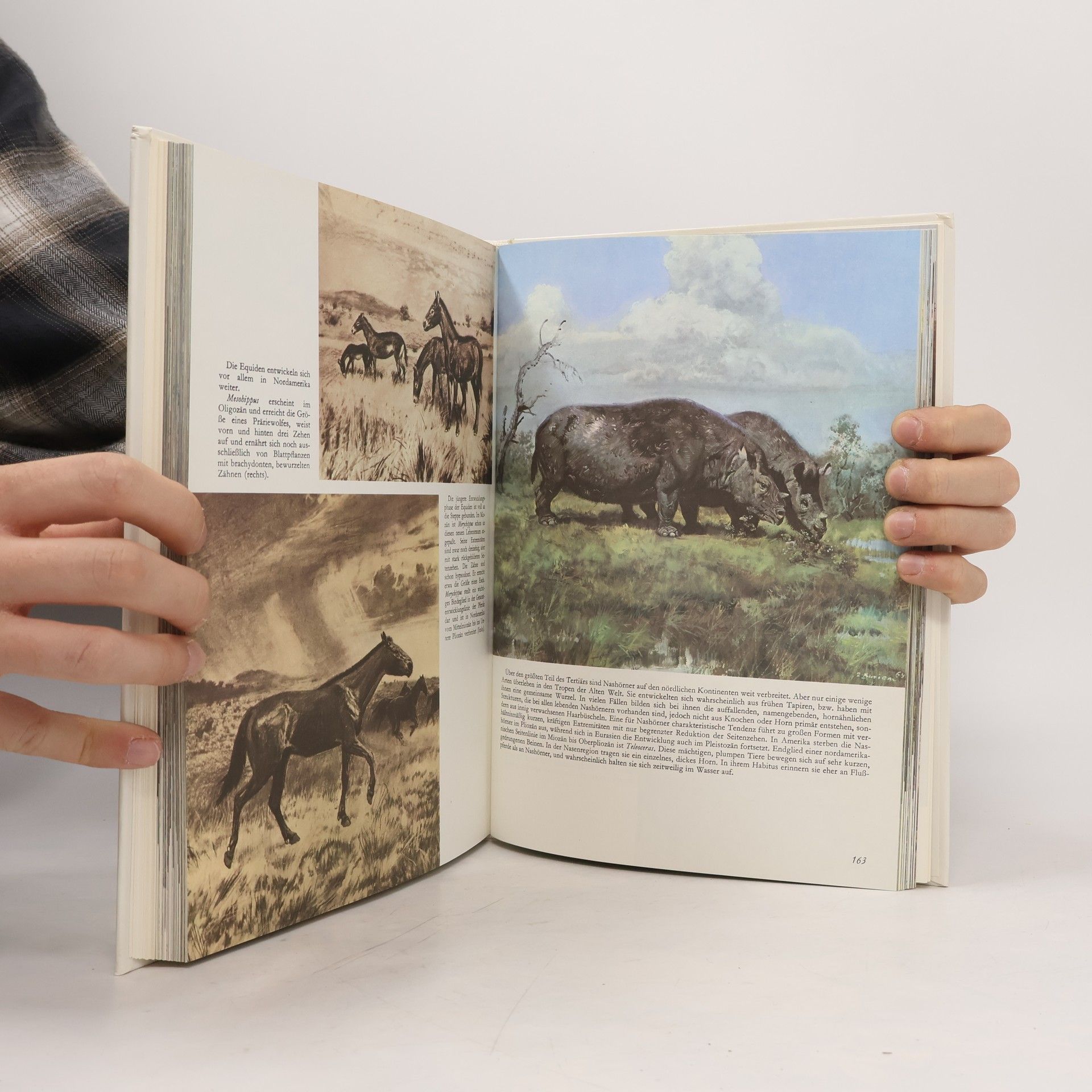 Various authors Tiere der Urzeit