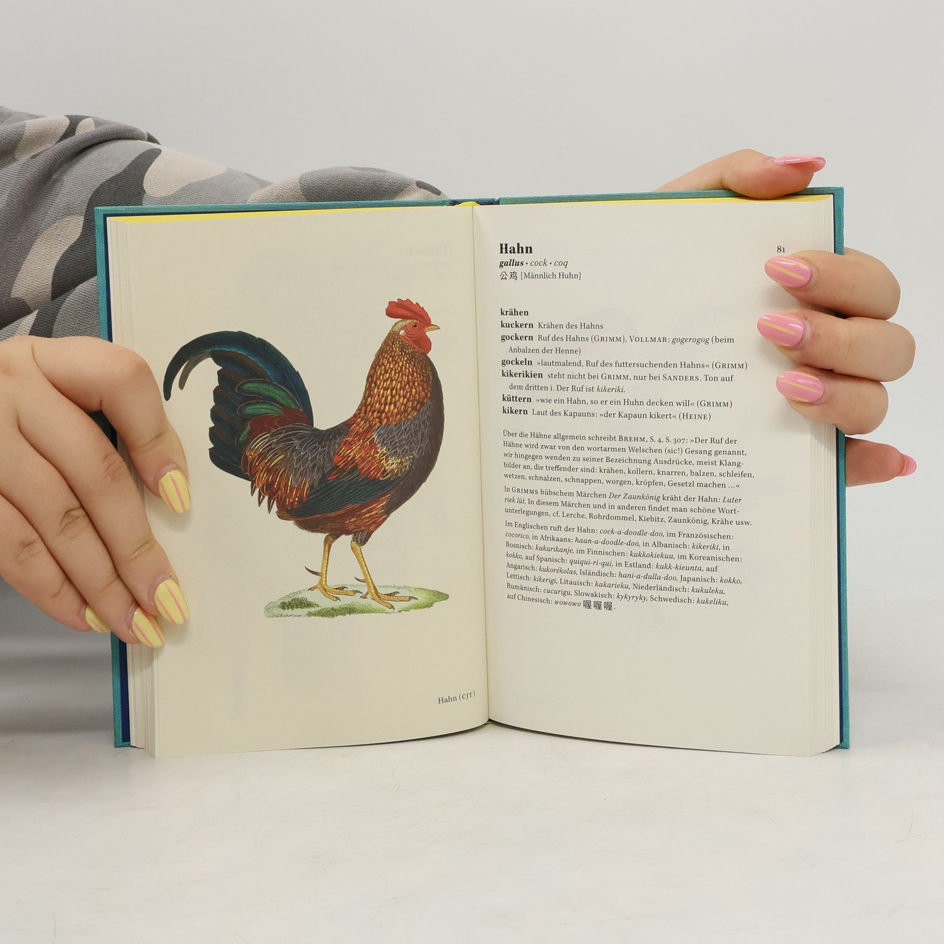 Peter Krauss Singt der Vogel, ruft er oder schlägt er?