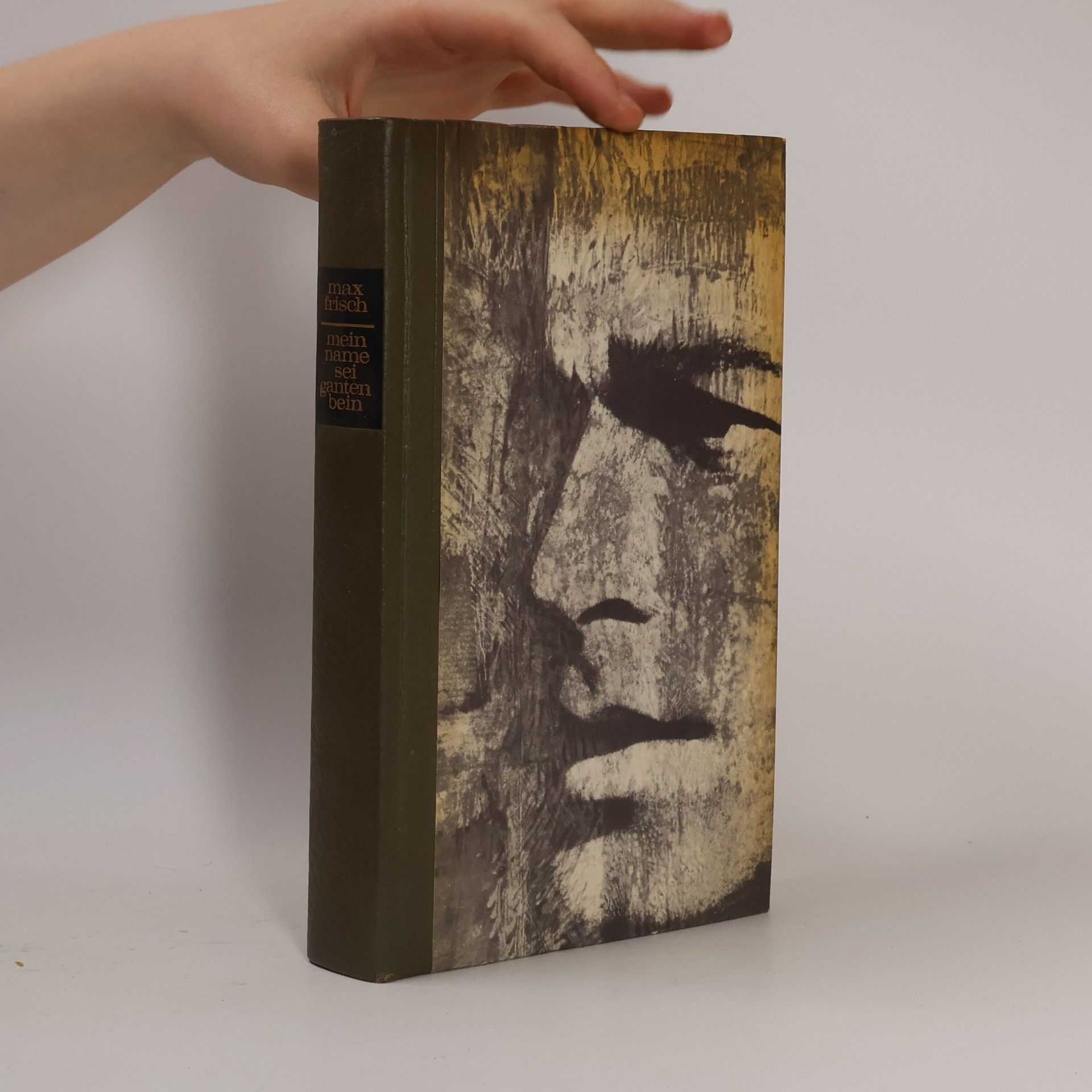 Max Frisch Mein Name sei Gantenbein