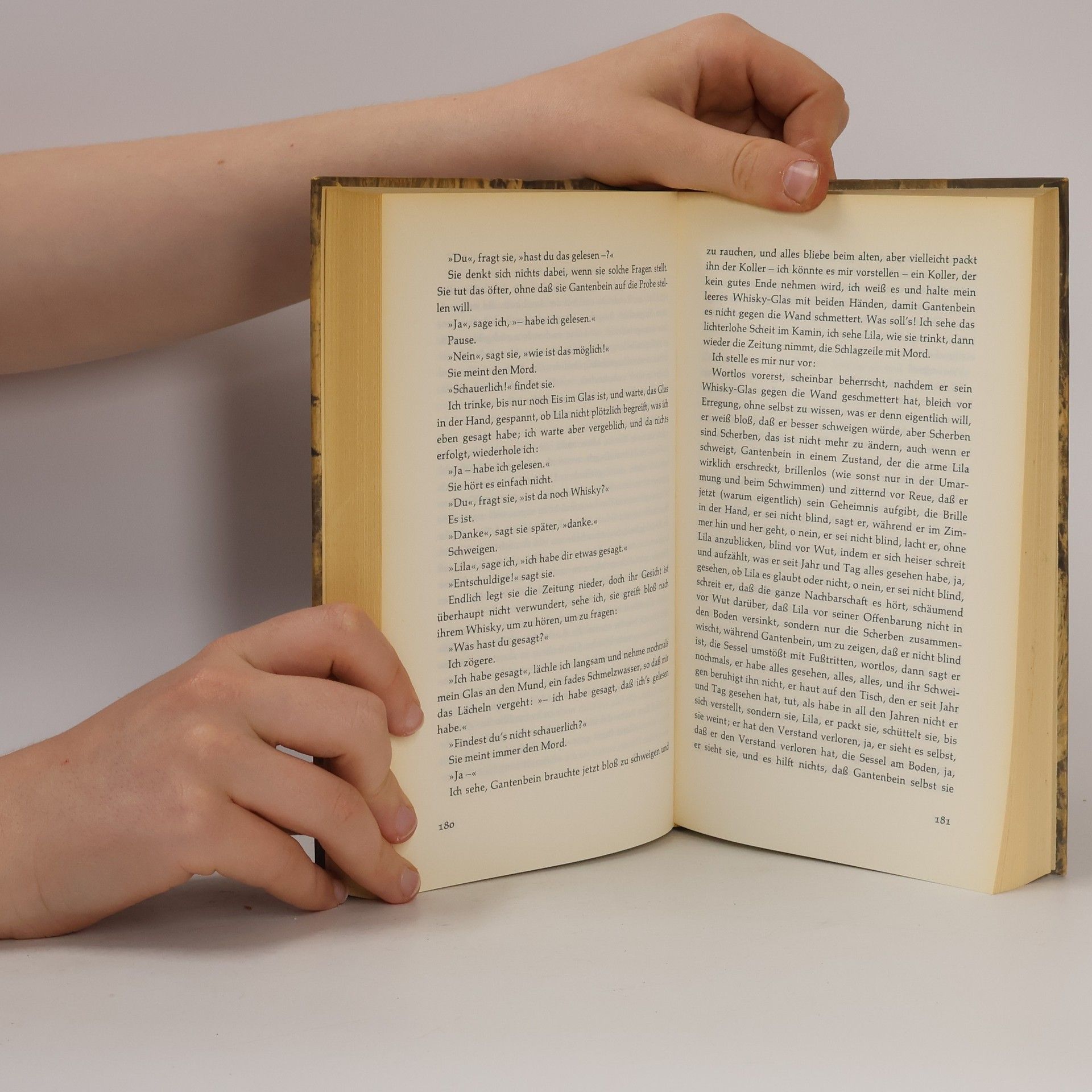 Max Frisch Mein Name sei Gantenbein