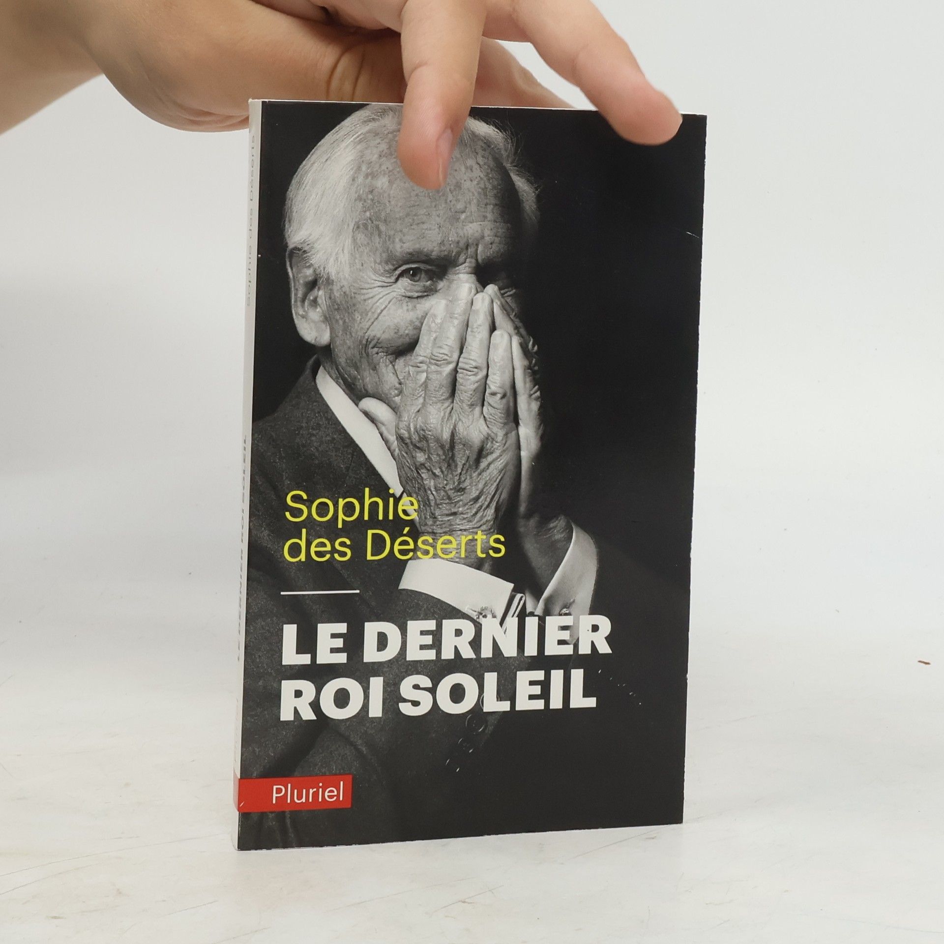 Sophie des Déserts Le dernier Roi Soleil