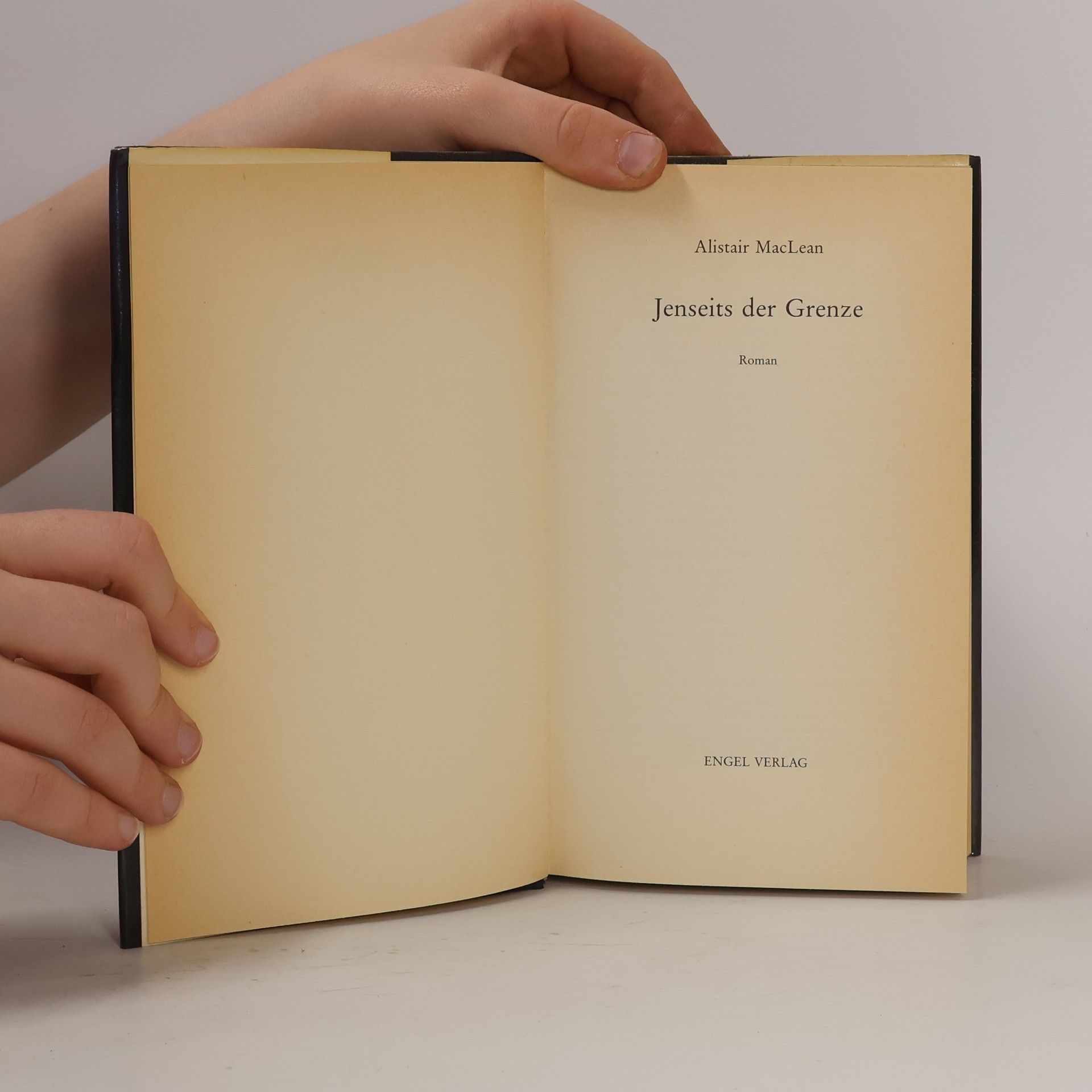 Alistair MacLean Jenseits der Grenze