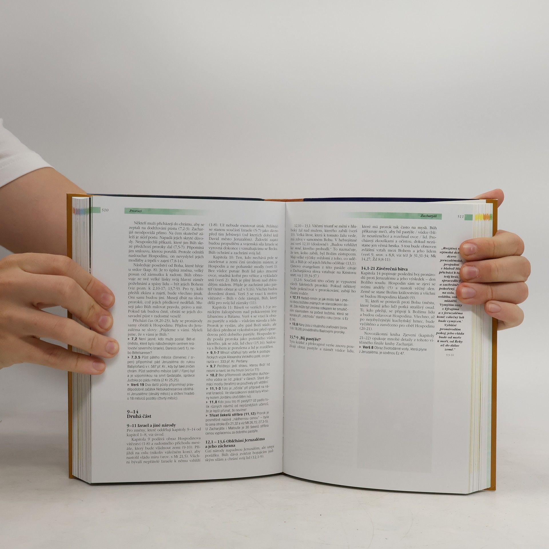 Pat Alexander Průvodce Biblí