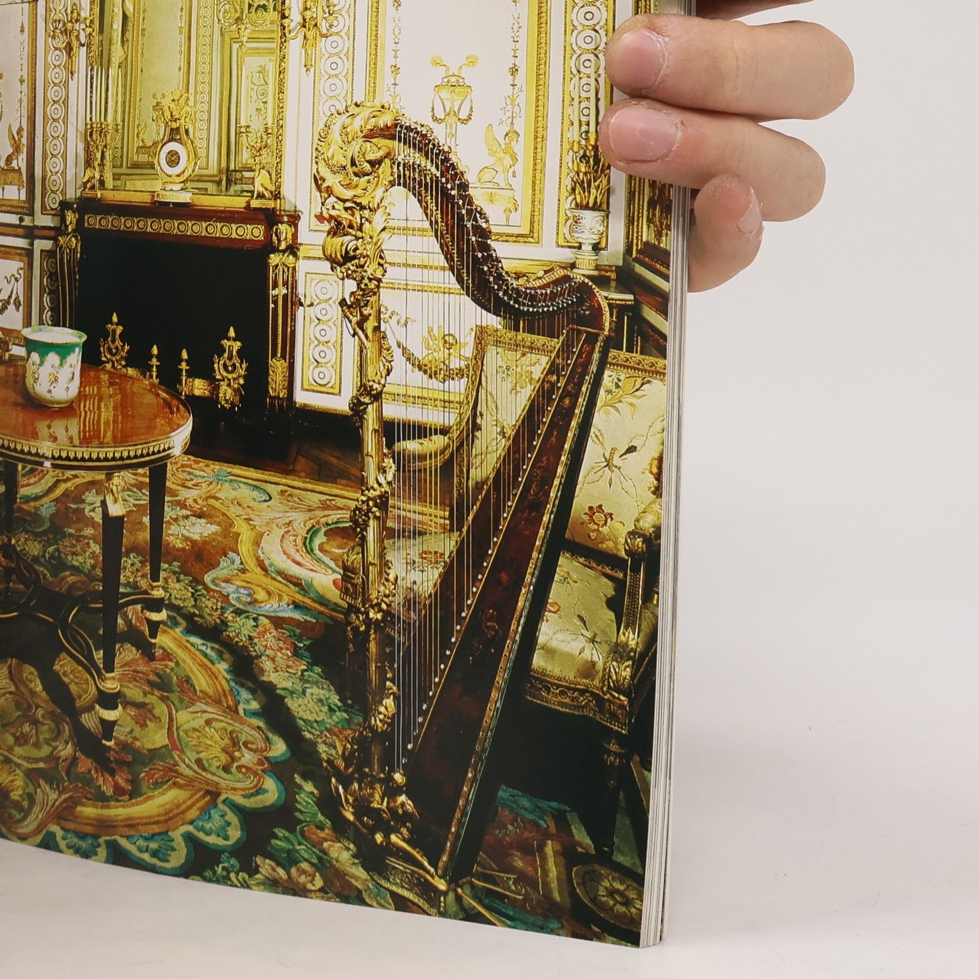 Daniel Meyer Versailles