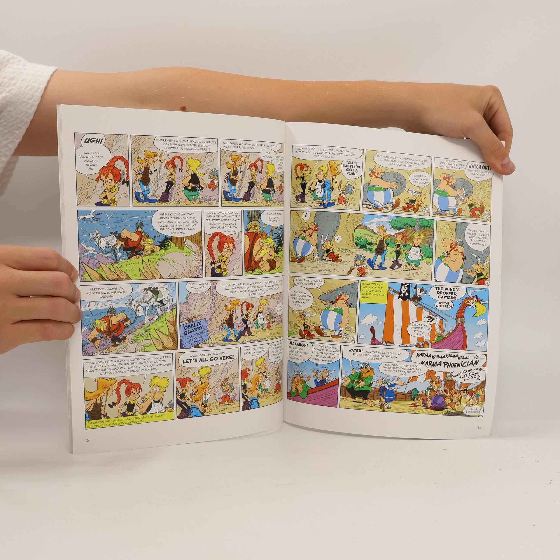 Jean-Yves Ferri Asterix: Asterix and the Chieftain's Daughter