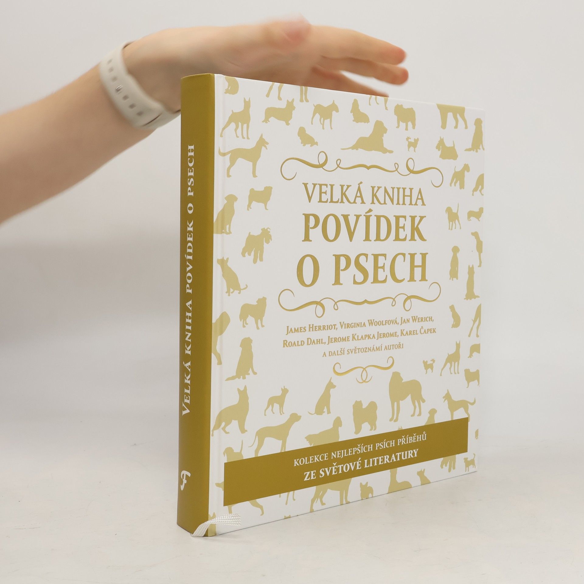 Kolektiv autorů Velká kniha povídek o psech