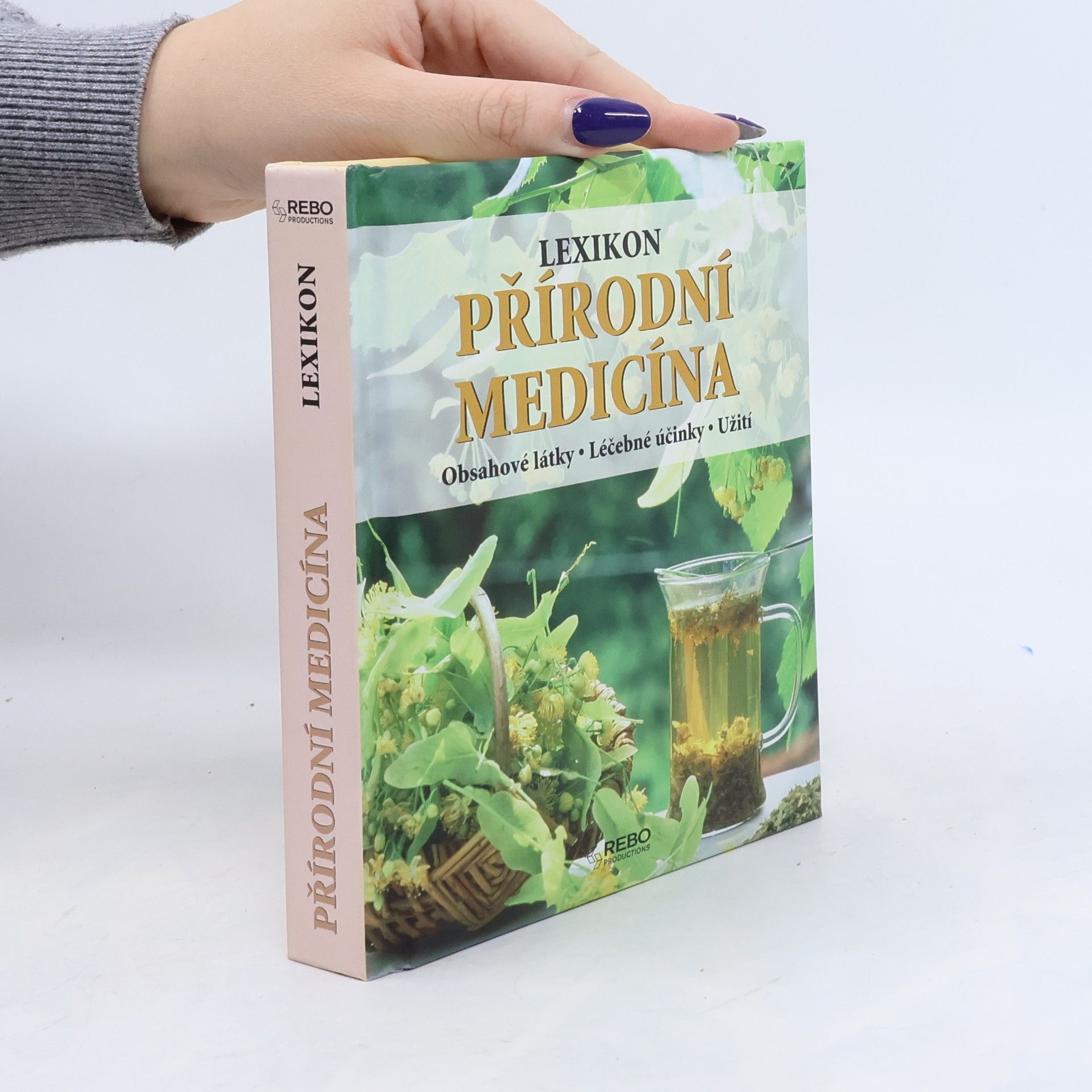 Anne Iburg Lexikon přírodní medicíny