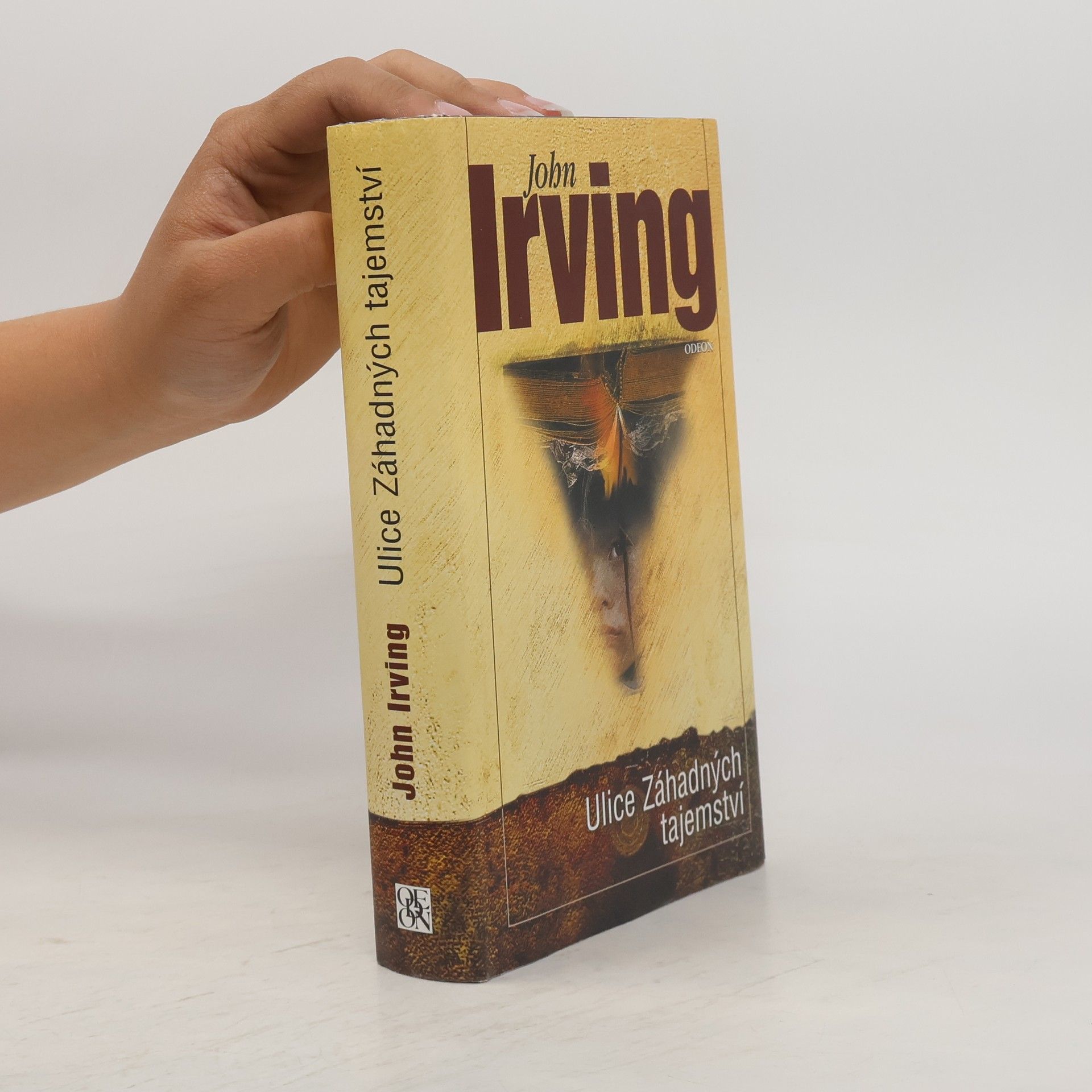 John Irving Ulice Záhadných tajemství