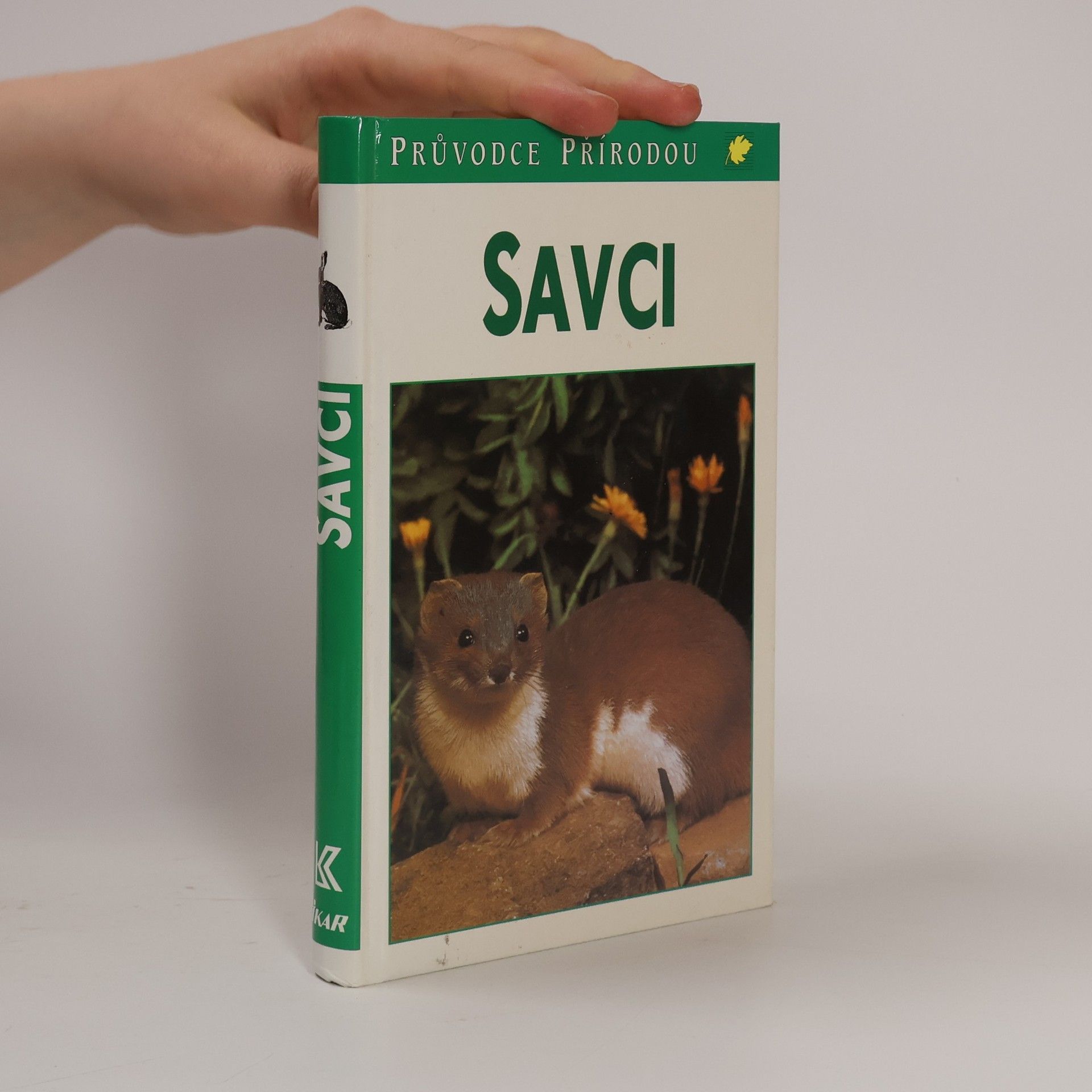 Gunter Steinbach Savci