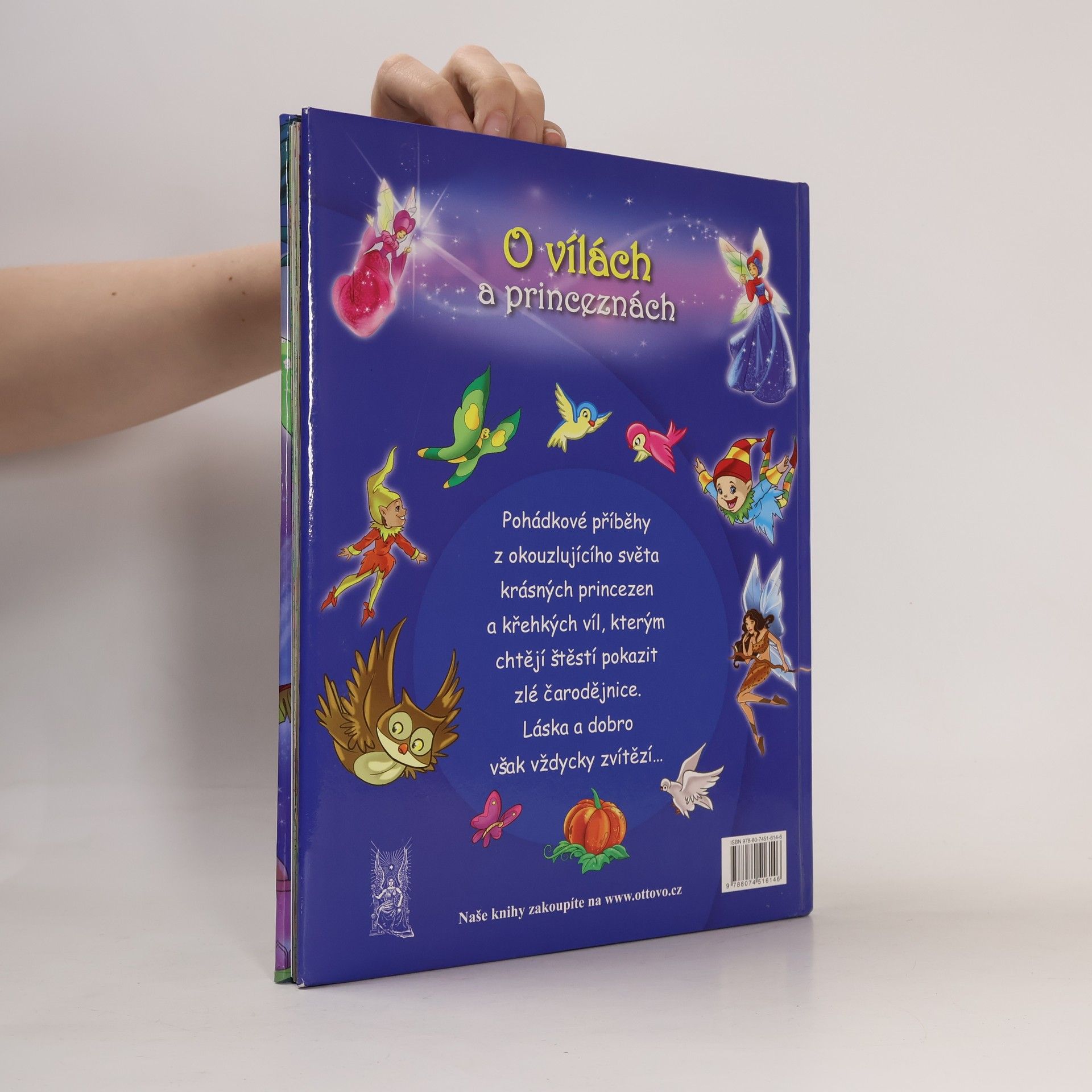 Various authors O vílach a princeznách