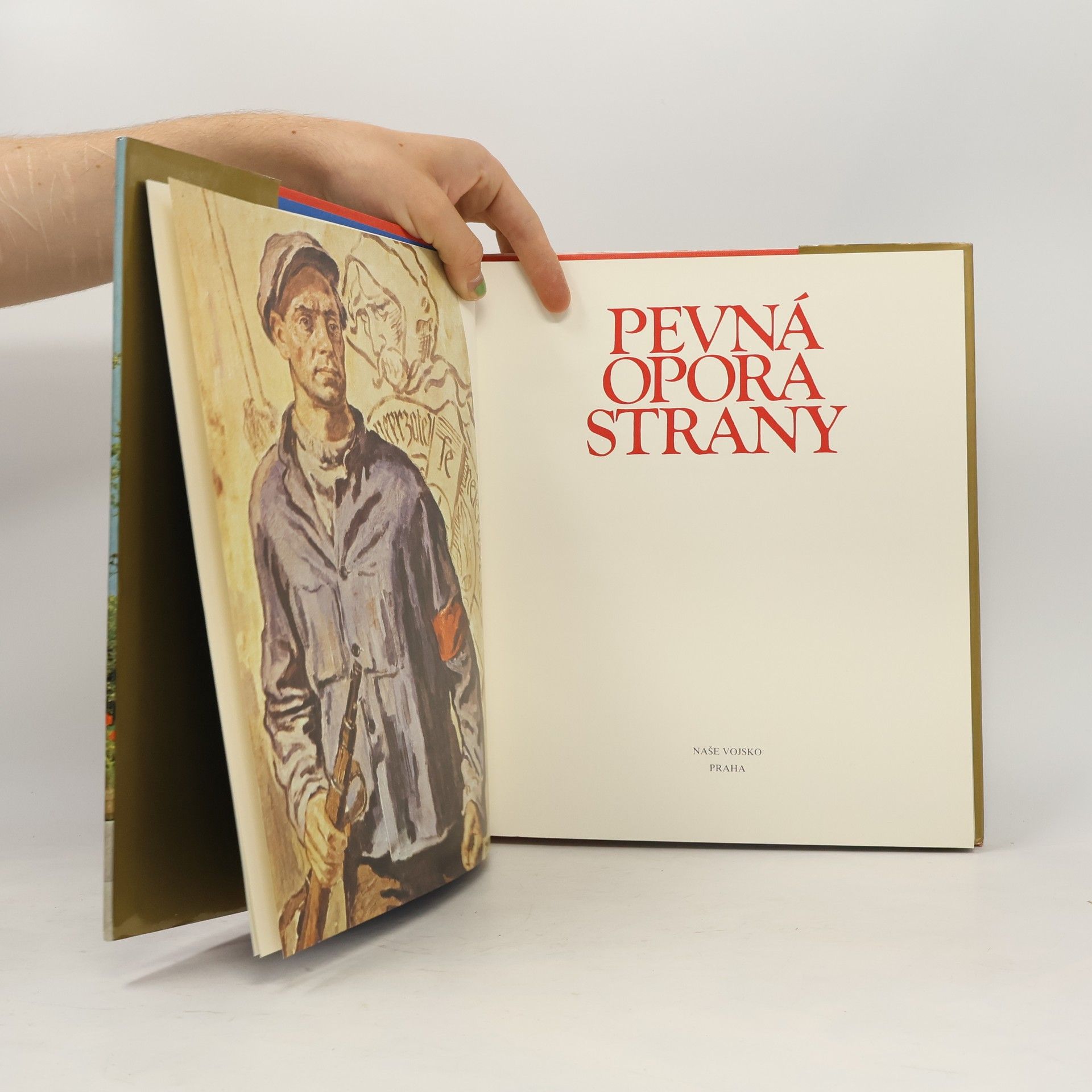 Autorenkollektiv Pevná opora strany