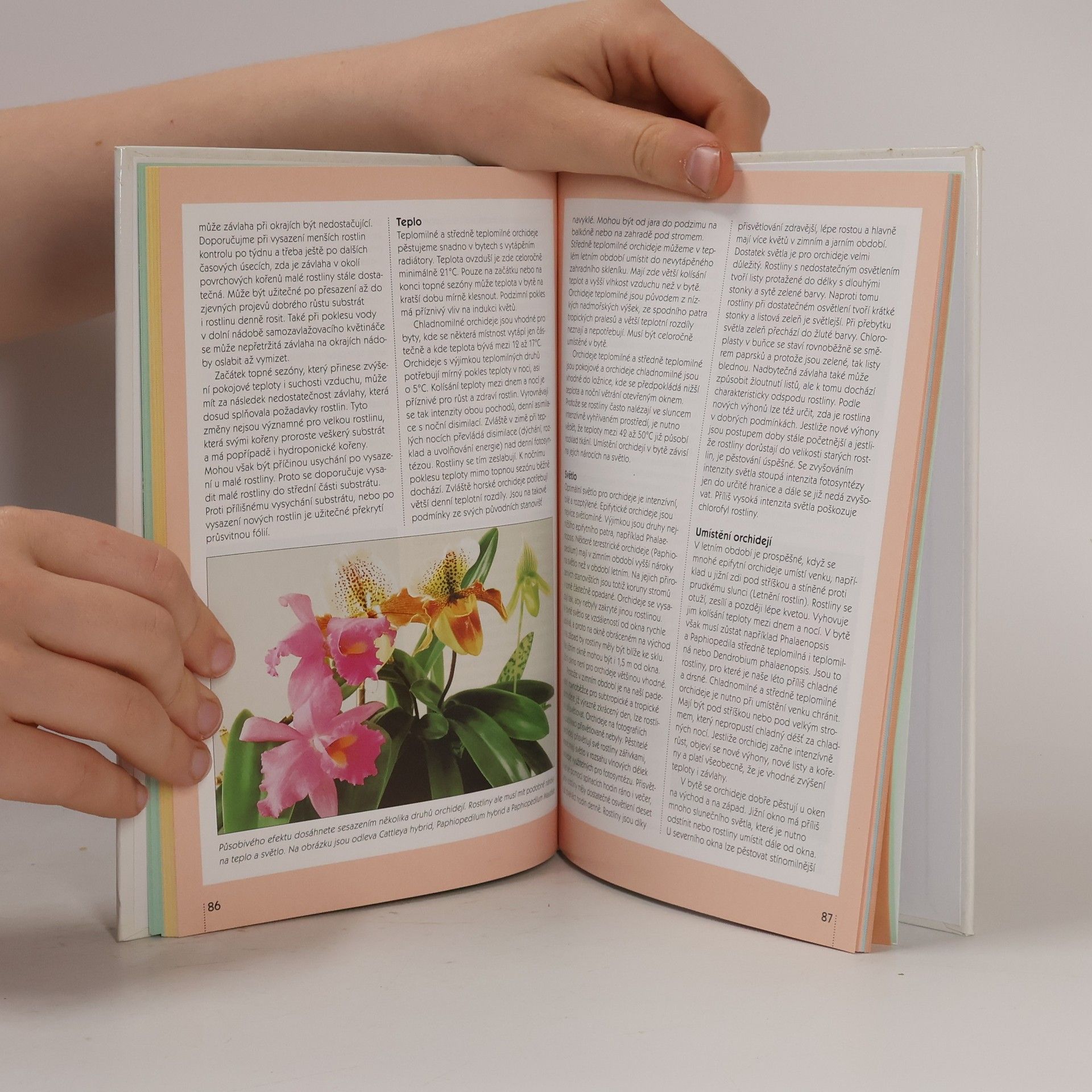 Tomáš Syrovátka Snadné pěstování květin, orchidejí, zeleniny a hub